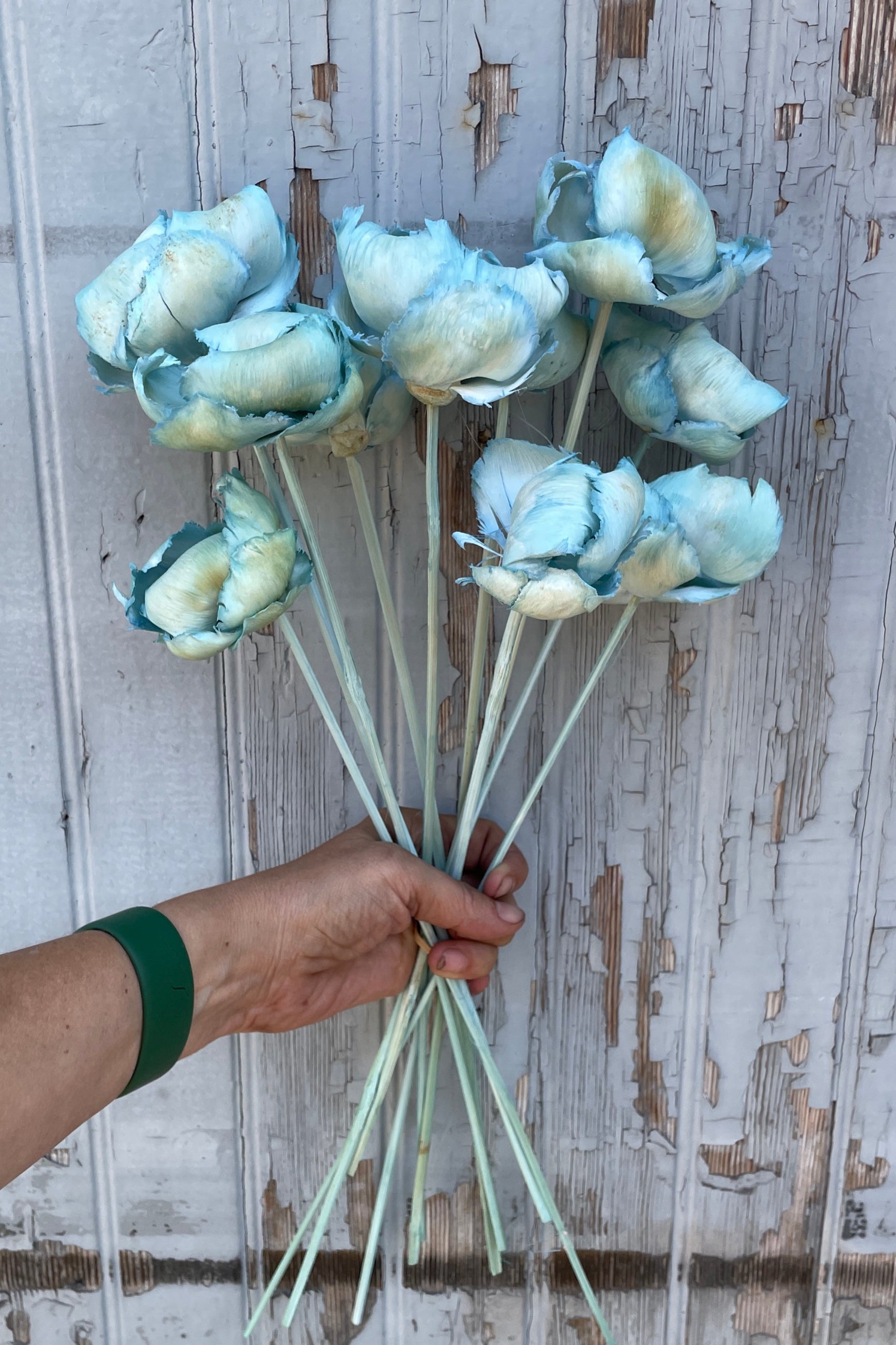 A bunch of Gray Blue Palm Caps being held against a gray wood wall.