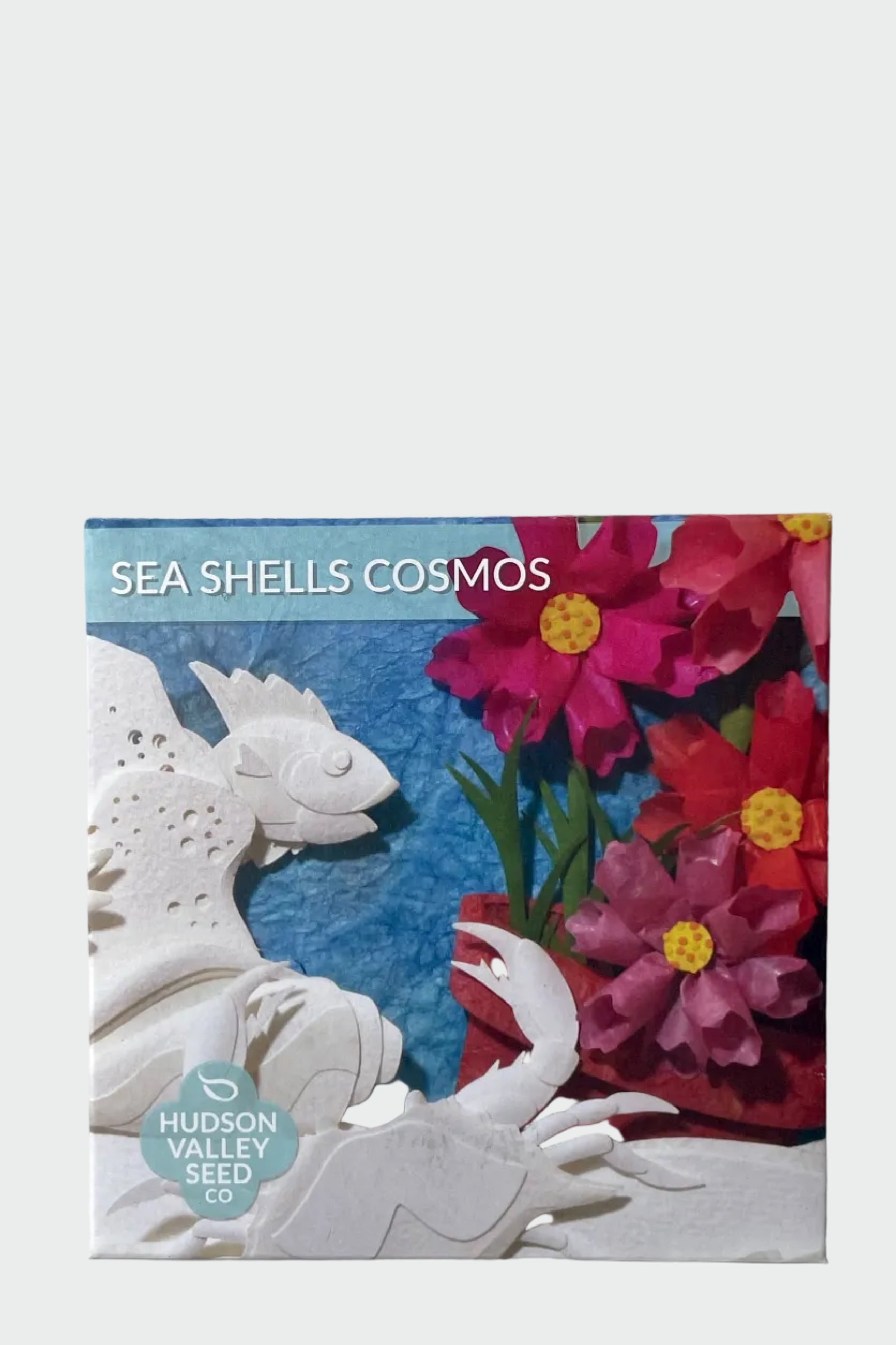 Sea Shells Cosmos Seeds Art Pack