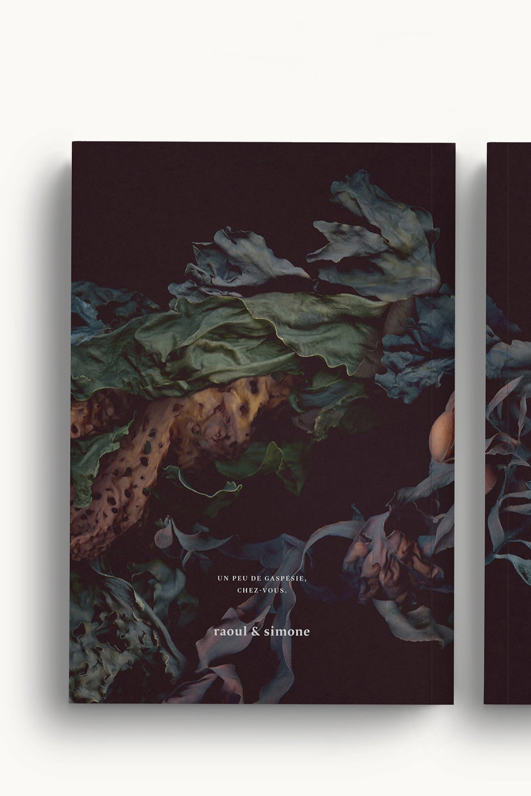 The back cover of Les Jumelles De L'anse notebook ©Raoul & Simone