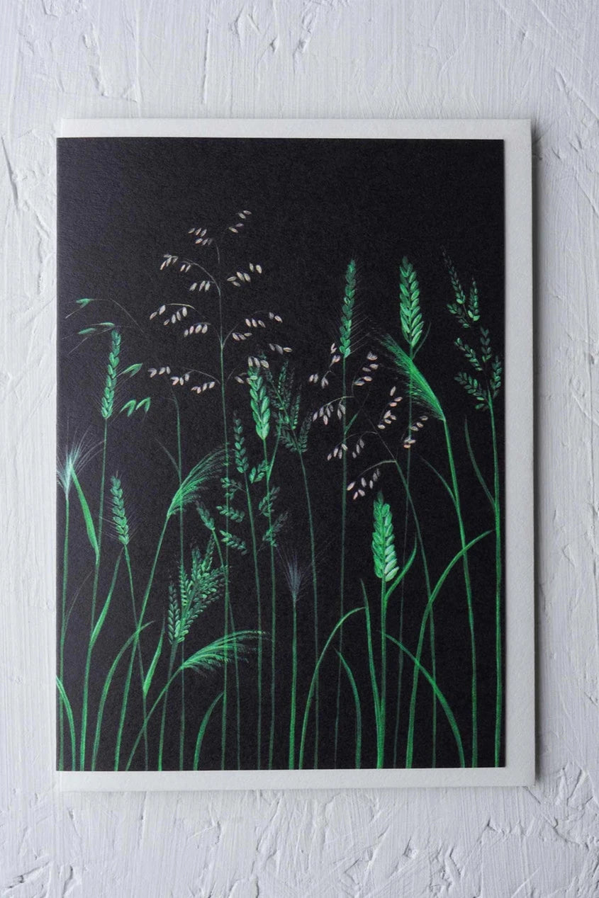 Chelsea Grasses card by Stengun Drawings on white.