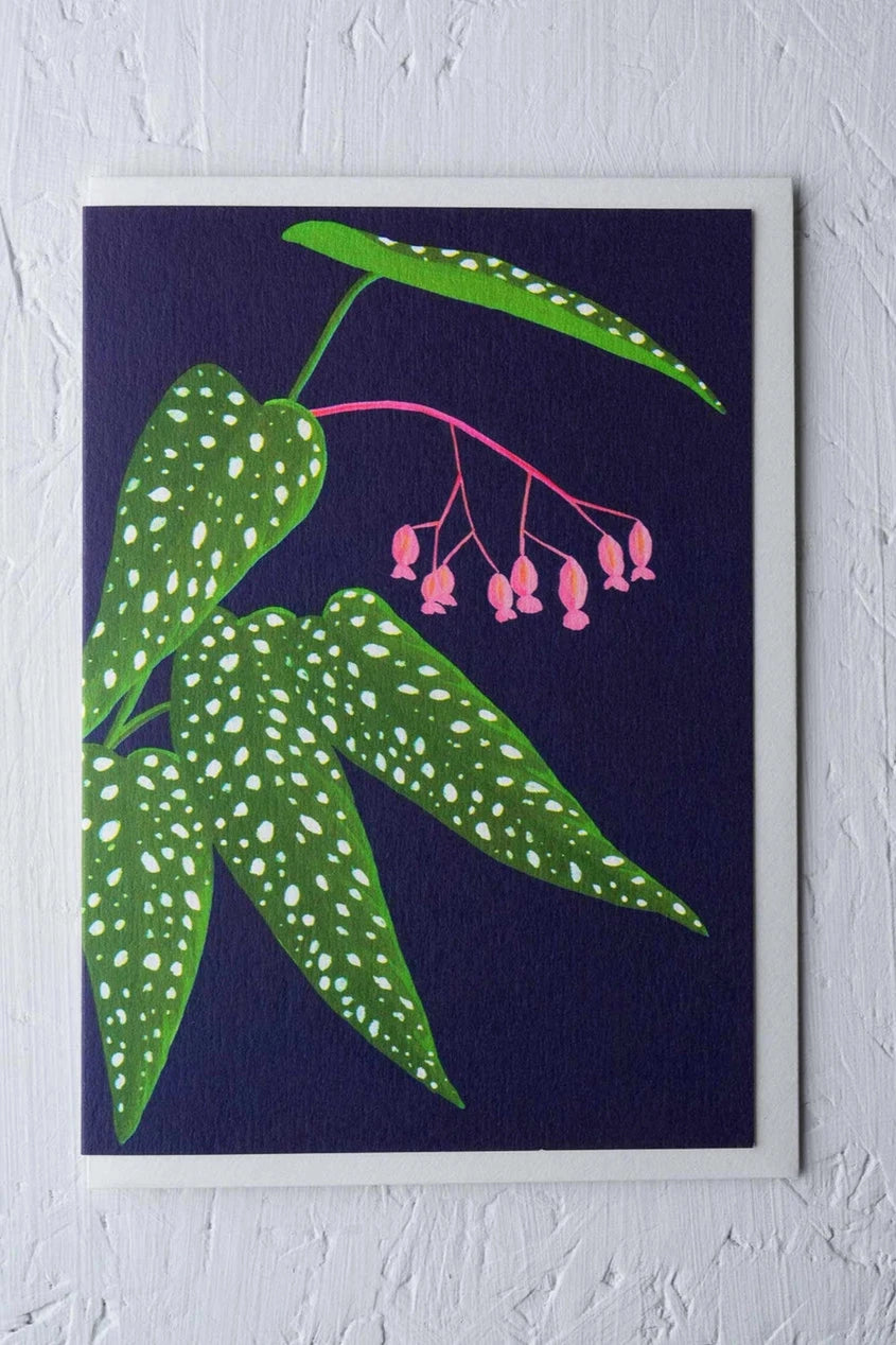 Begonia greeting card by Stengun Drawing shown from the front on a white wall.
