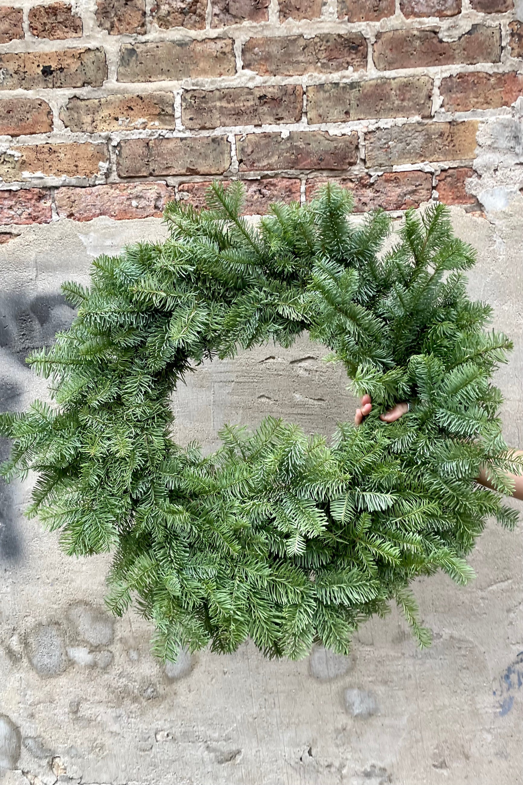 Wreath made from noble fir evergreen being held against a concrete and brick wall.