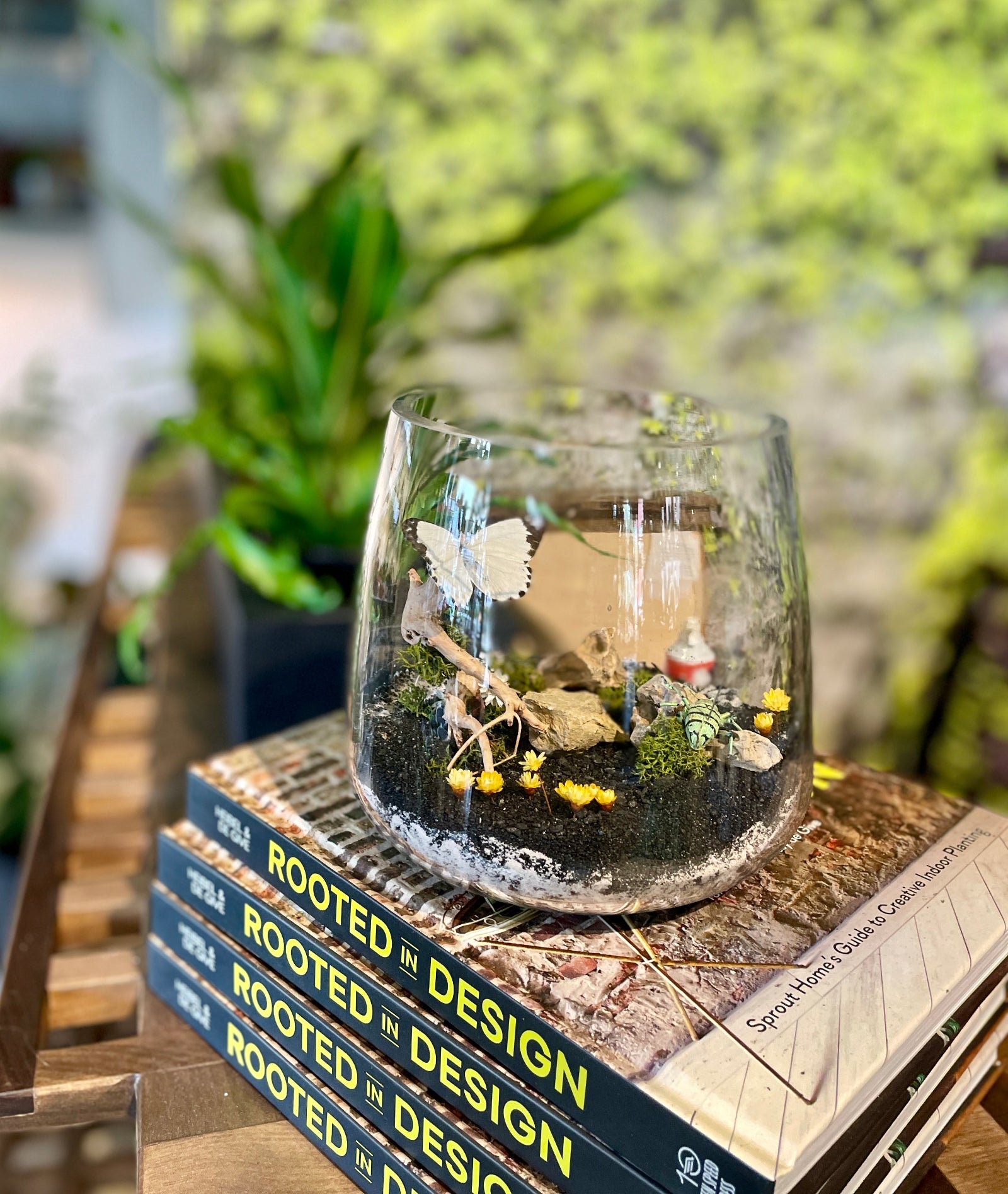 A butterfly terrarium at Sprout-home sitting on top of a stack of Rooted in Design books