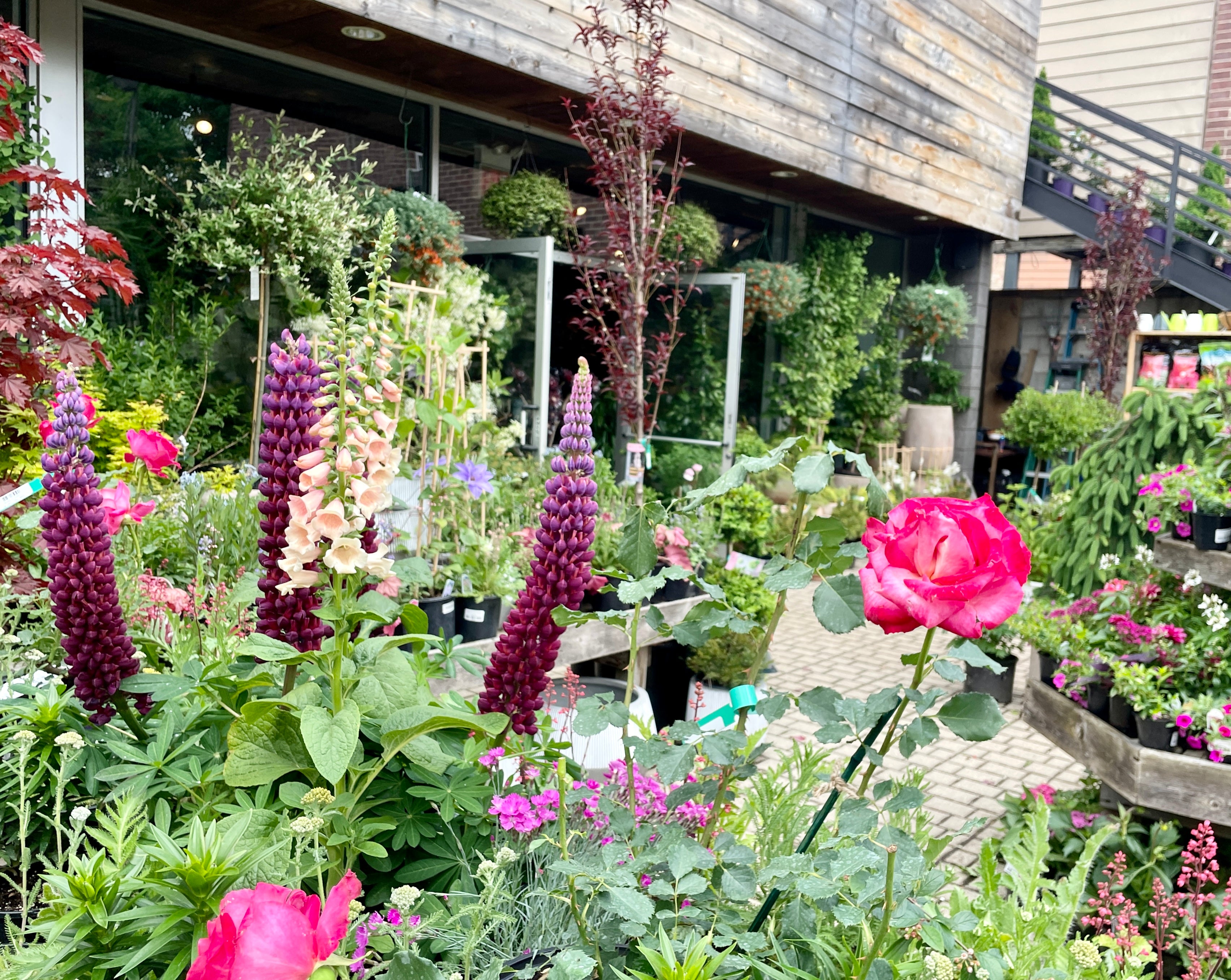 Outdoor plants blooming a Sprout-home during the summer