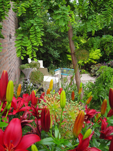A backyard landscape designed by Sprout-home with red lilies in the foreground. 