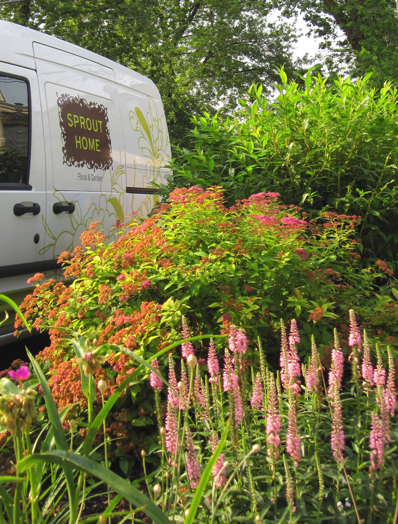 A in ground landscape by Sprout-home and a Sprout-home landscape truck behind it. 