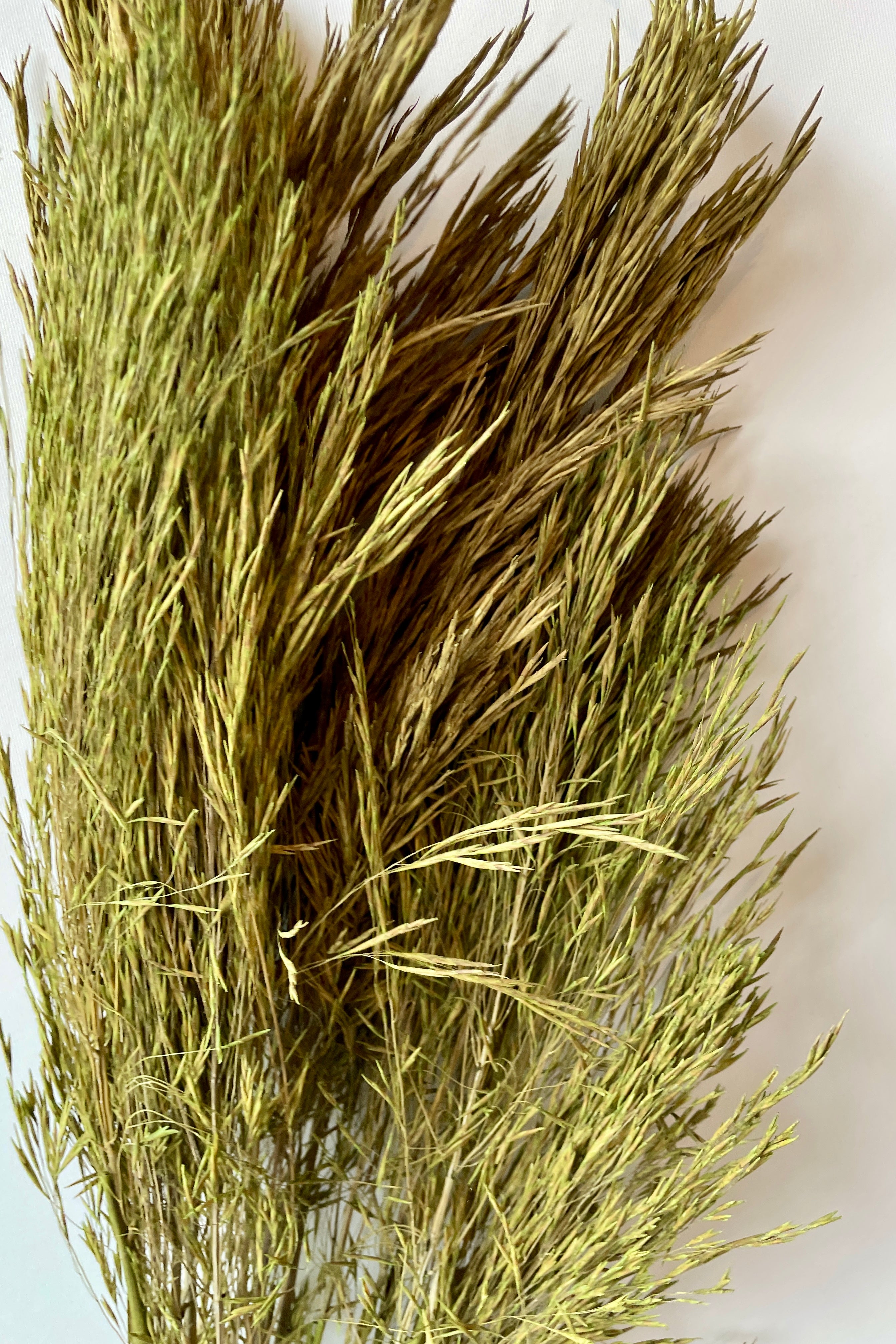 A detail up close image of the olive colored preserved Andre Kise bunch at Sprout-home against a white wall. 
