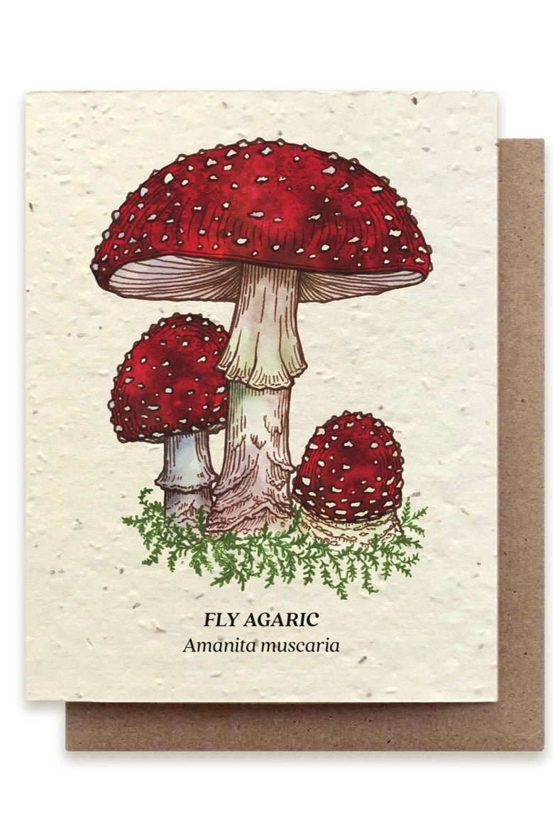 Fly Agaric seeded card showing the front with the bright red mushroom caps.
