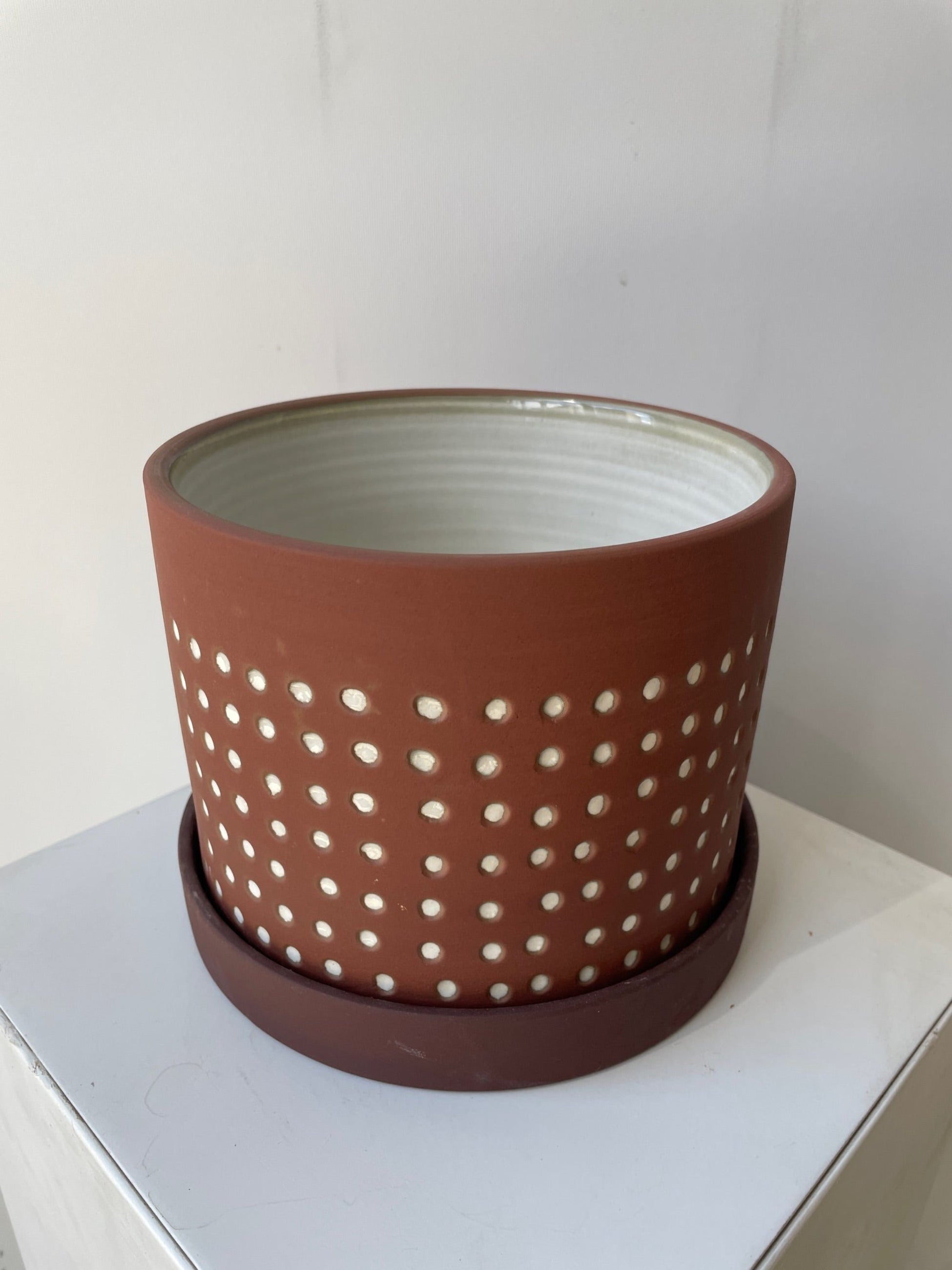From top side view looking in the Salamaca red clay pot and saucer with white dot pattern throughout ©Sprout Home