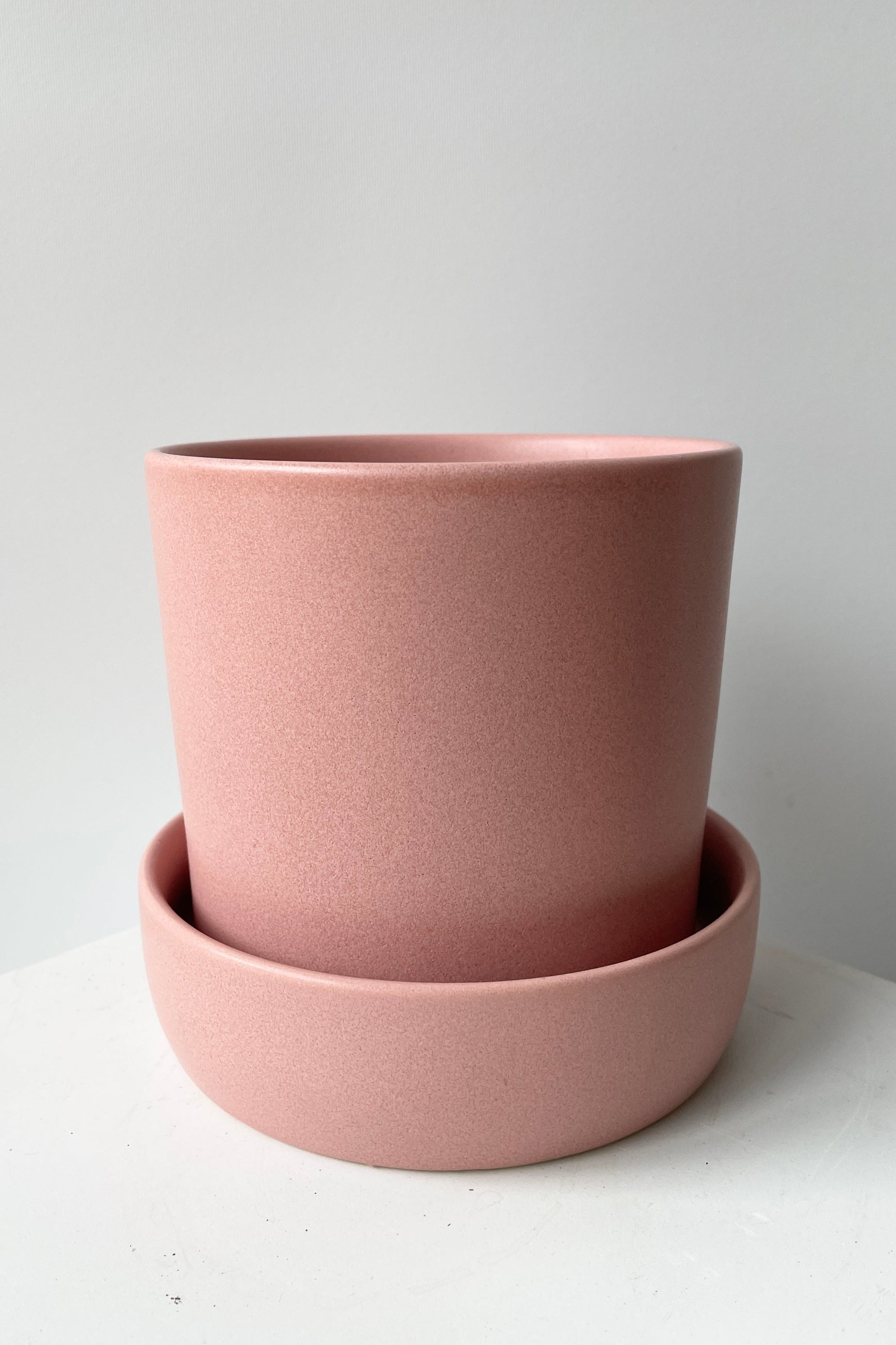 A pink Watson pot and saucer veiwed at eye level against a white wall ©Sprout Home