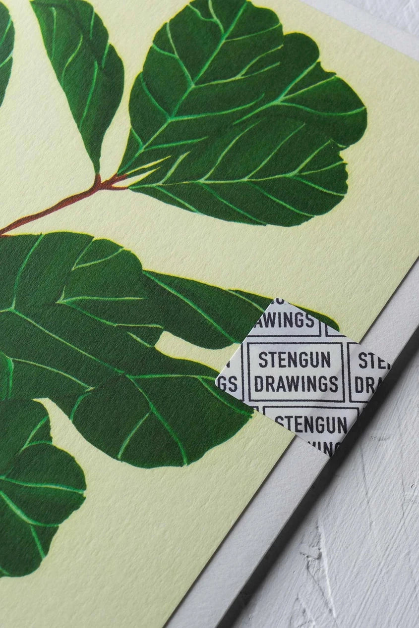 Lyrata greeting card by Stengun Drawings  detail shot of the upper right corner showing the dark green ficus leaves. 