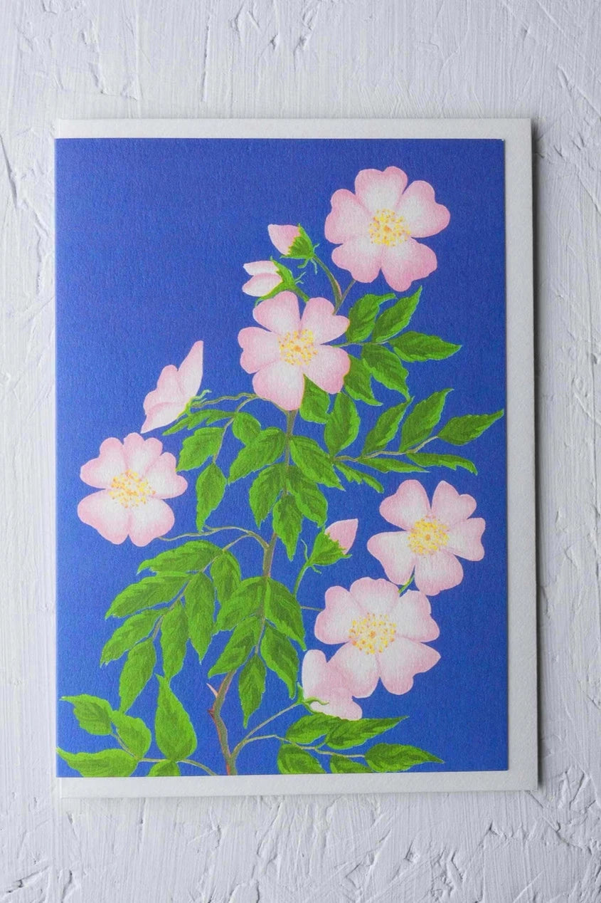 Dog rose greeting card by Stengun Drawings  viewed from front on a white wall. 