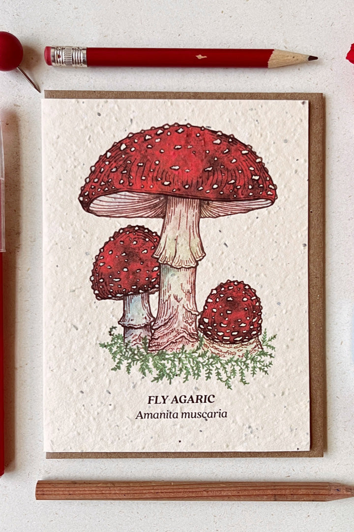 Fly Agaric seeded card showing the front with the bright red mushroom caps with writing pencils surrounding it