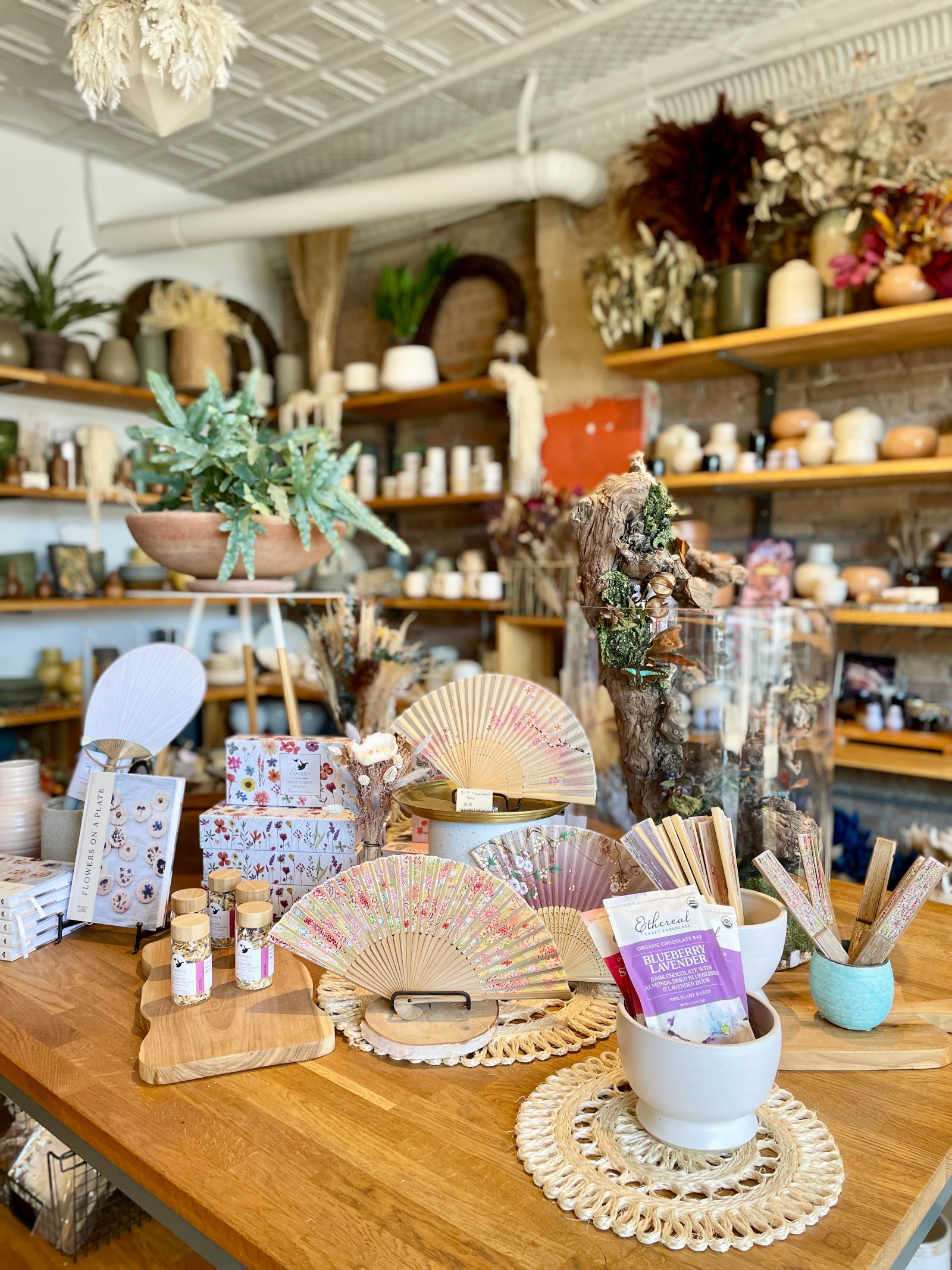 A table display with fans, books, chocolate, plants and a terrarium at Sprout-home Floral with shelving in the background. 