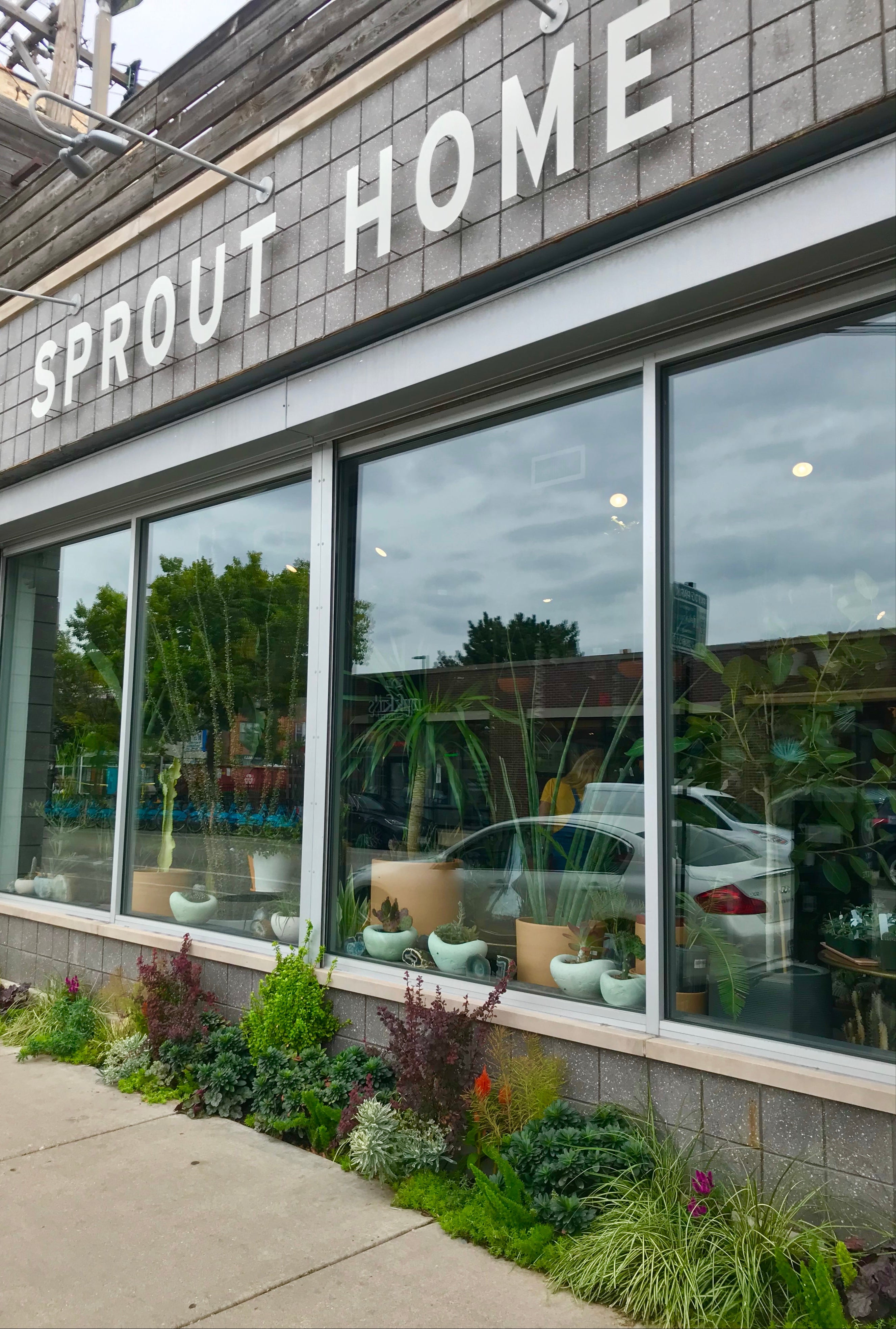 The front storefront of Sprout-home, the garden side, at 745 N. Damen Avenue.