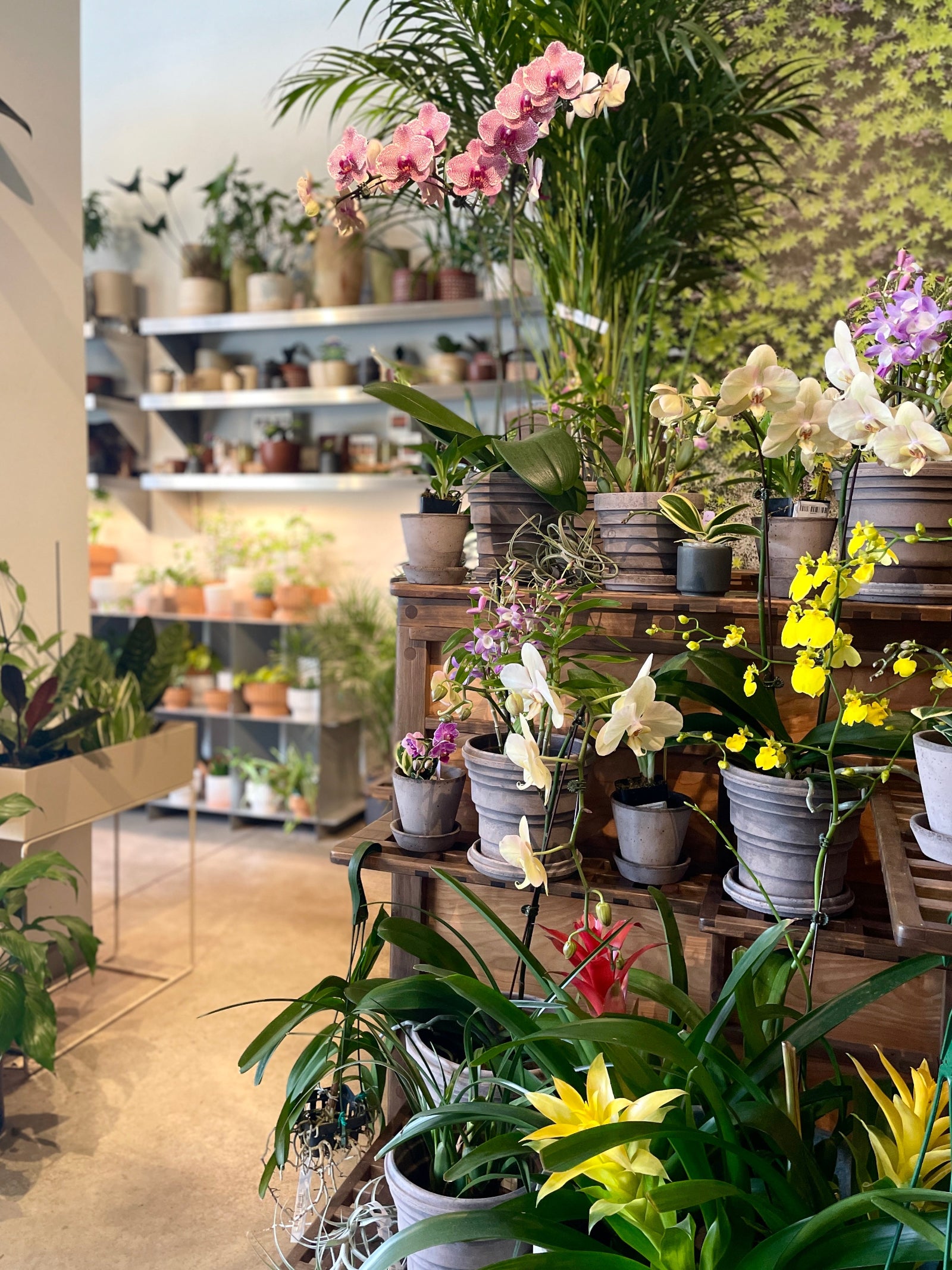 Interior of the interior garden at Sprout-home featuring an orchid nook ©Sprout Home