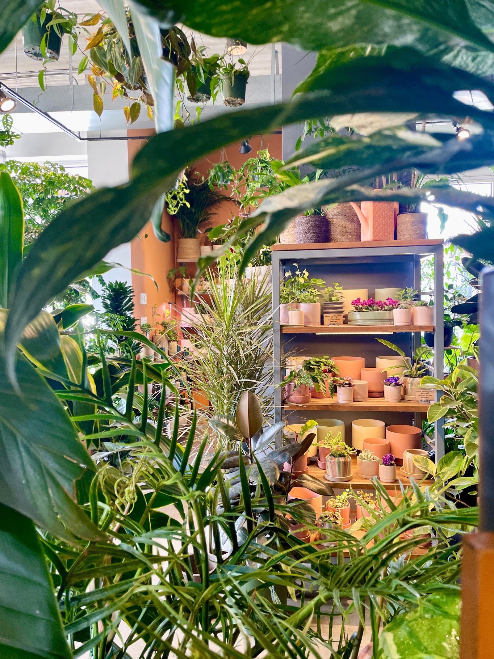 Interior garden shop at Sprout-home ©Sprout Home