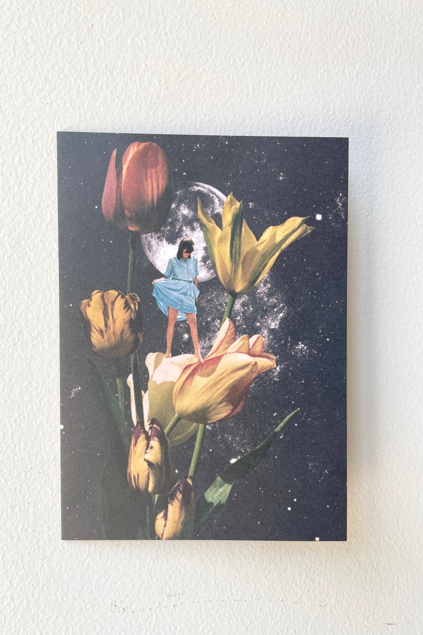 The Garden of Eden Card against a white wall at Sprout-home. 