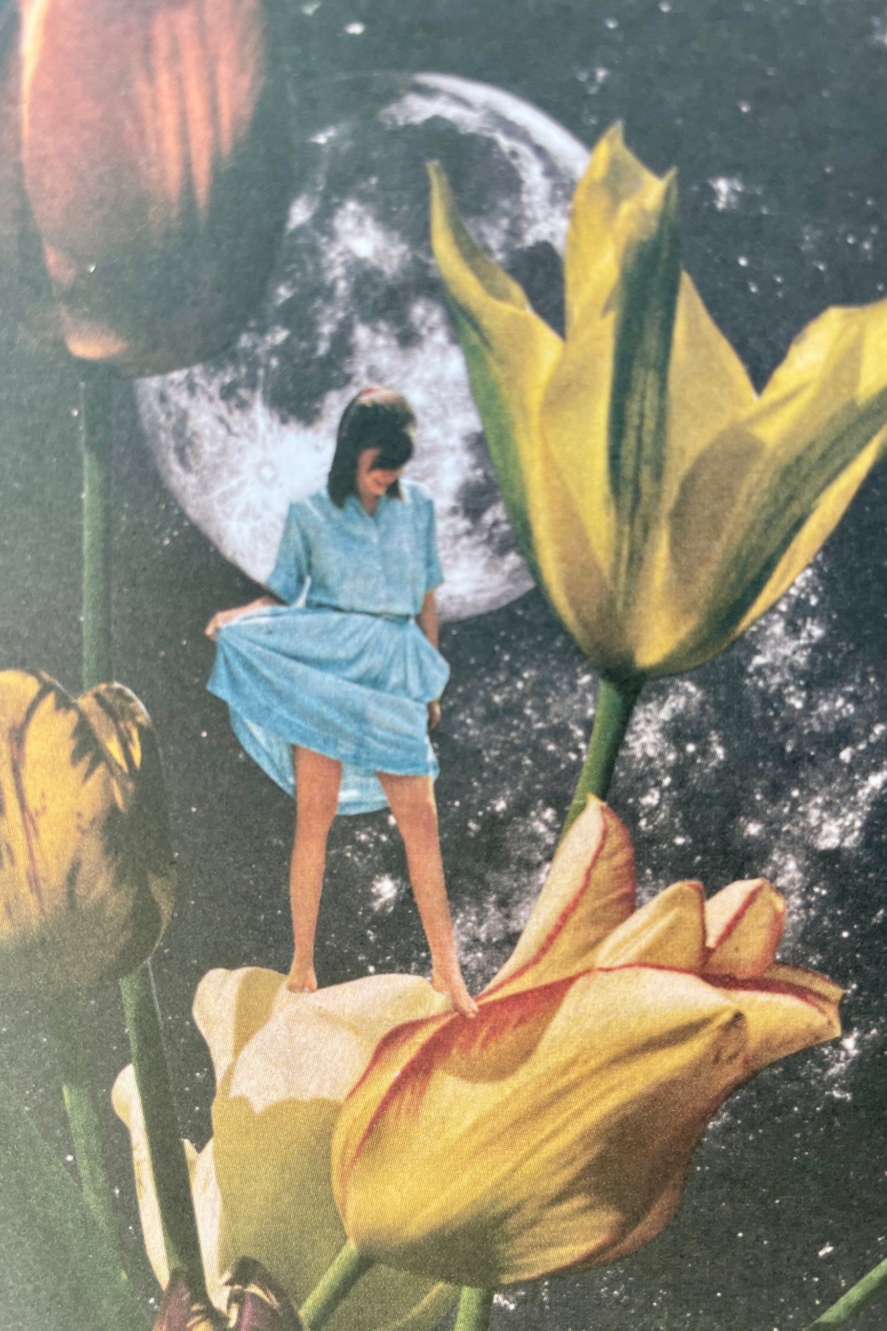A detail of the Garden of Eden card by AHD paper Co. 