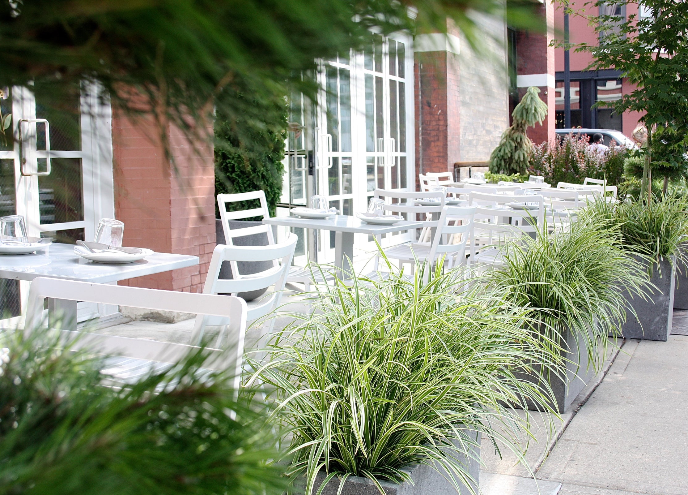 Bad Hunter Patio with a line of Carex grass in front and evergreens and trees in the background