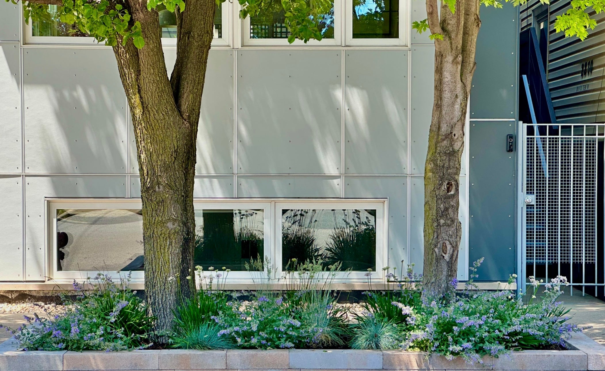 A Sprout-home customers outdoor boulevard planting in bloom with shades of purple. 