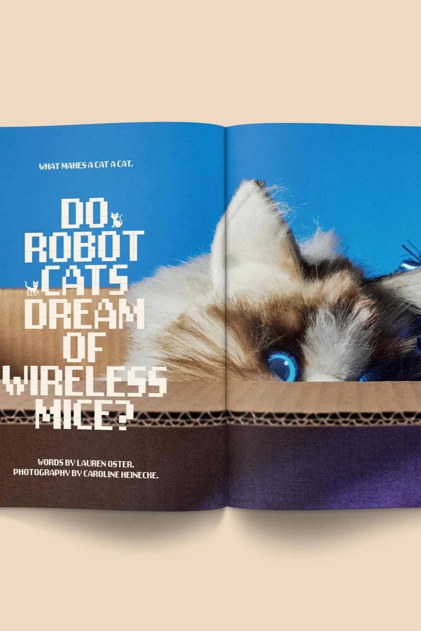 Catnip Magazine showing a page of the interior  by Broccoli.