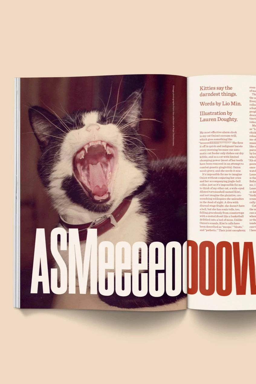 Catnip Magazine showing an open page with a cat yawning  by Broccoli.