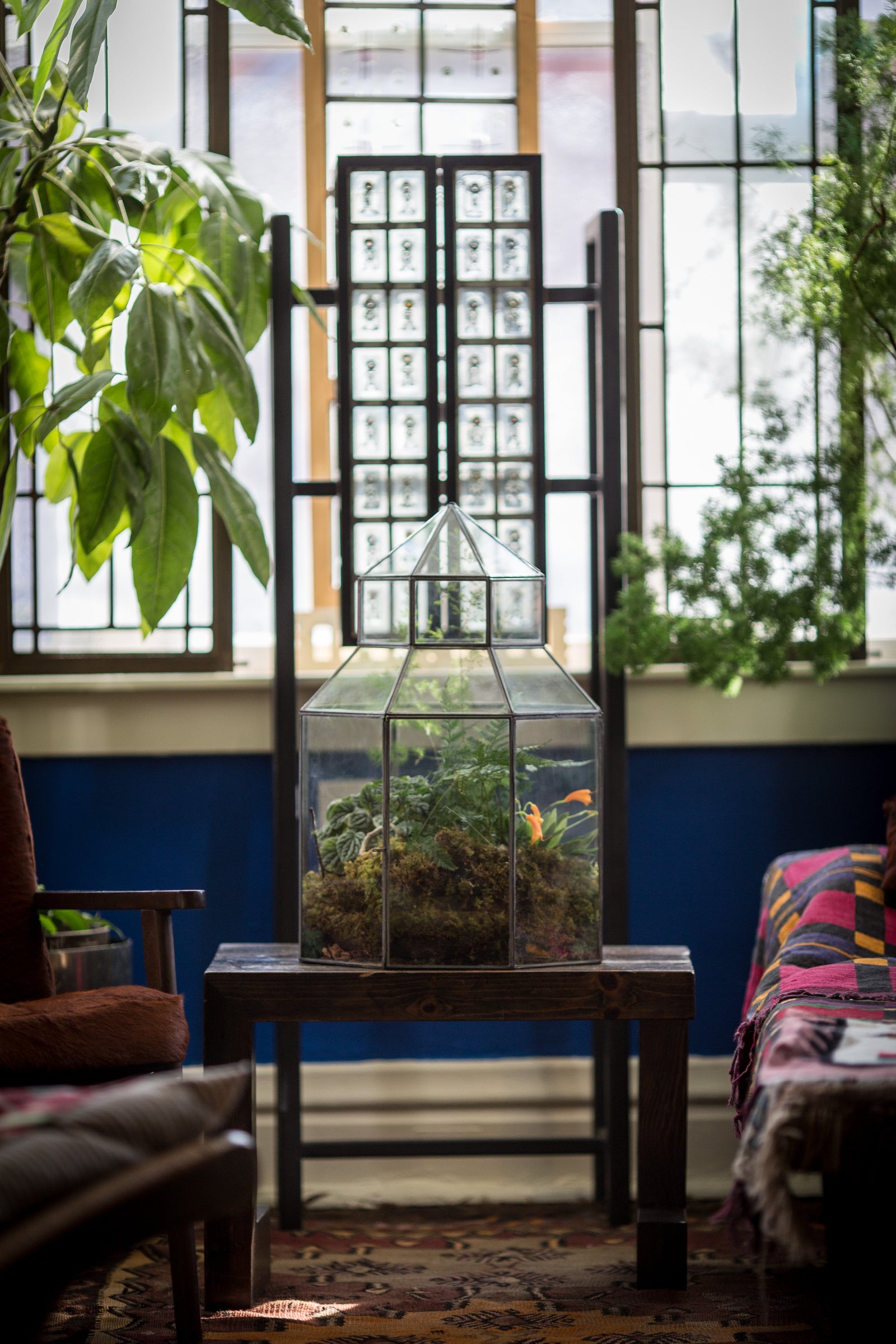 Custom planted terrarium by Sprout-home with metal framed sections in a clients home