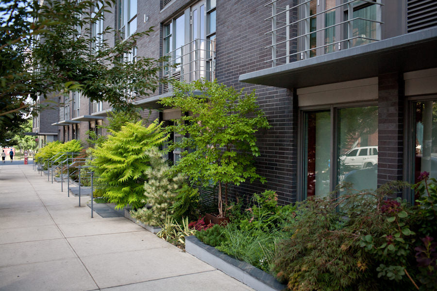 Outdoor plantings of trees and shrubs along a sidewalk by Sprout-home