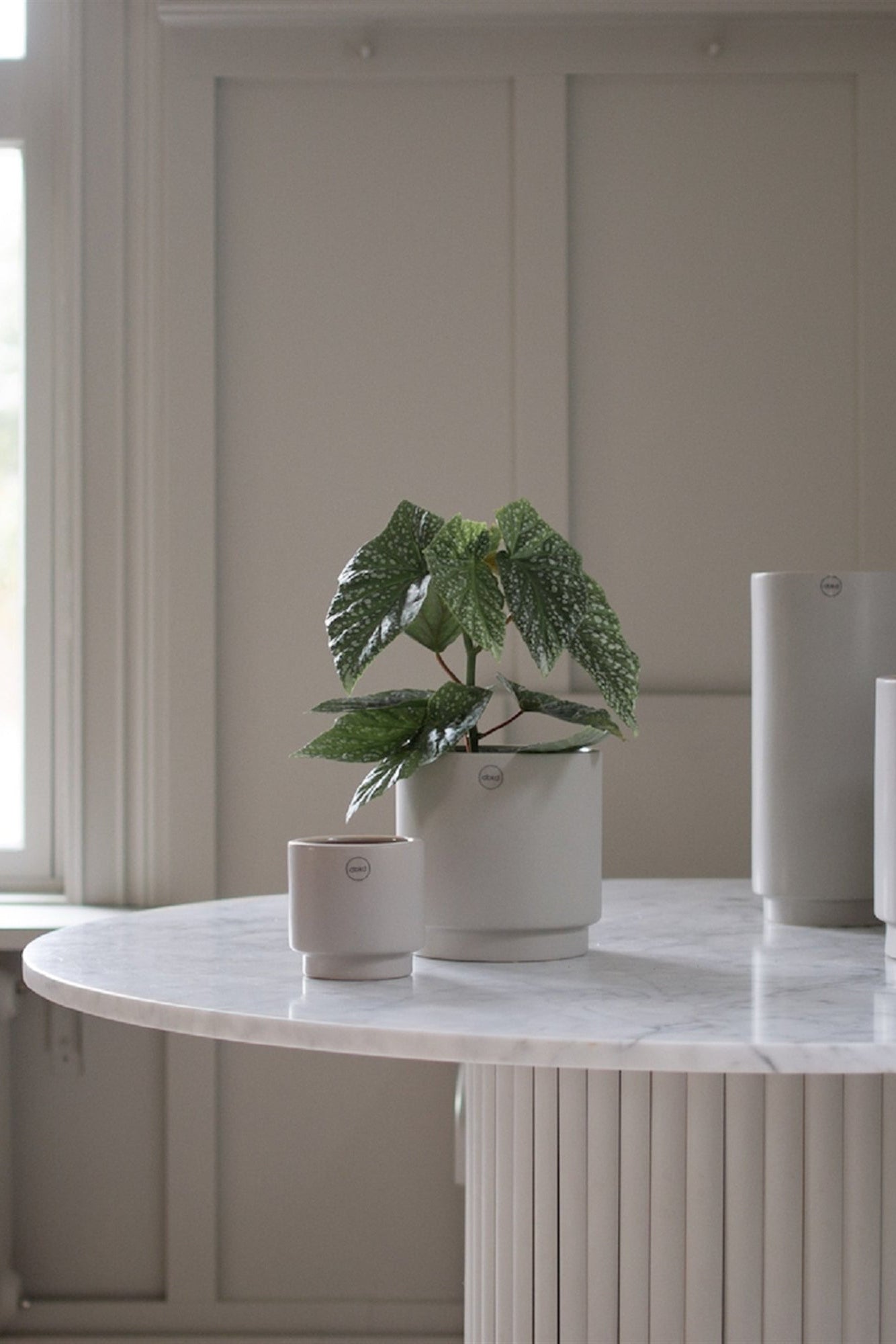 Solid Mole Pot Small