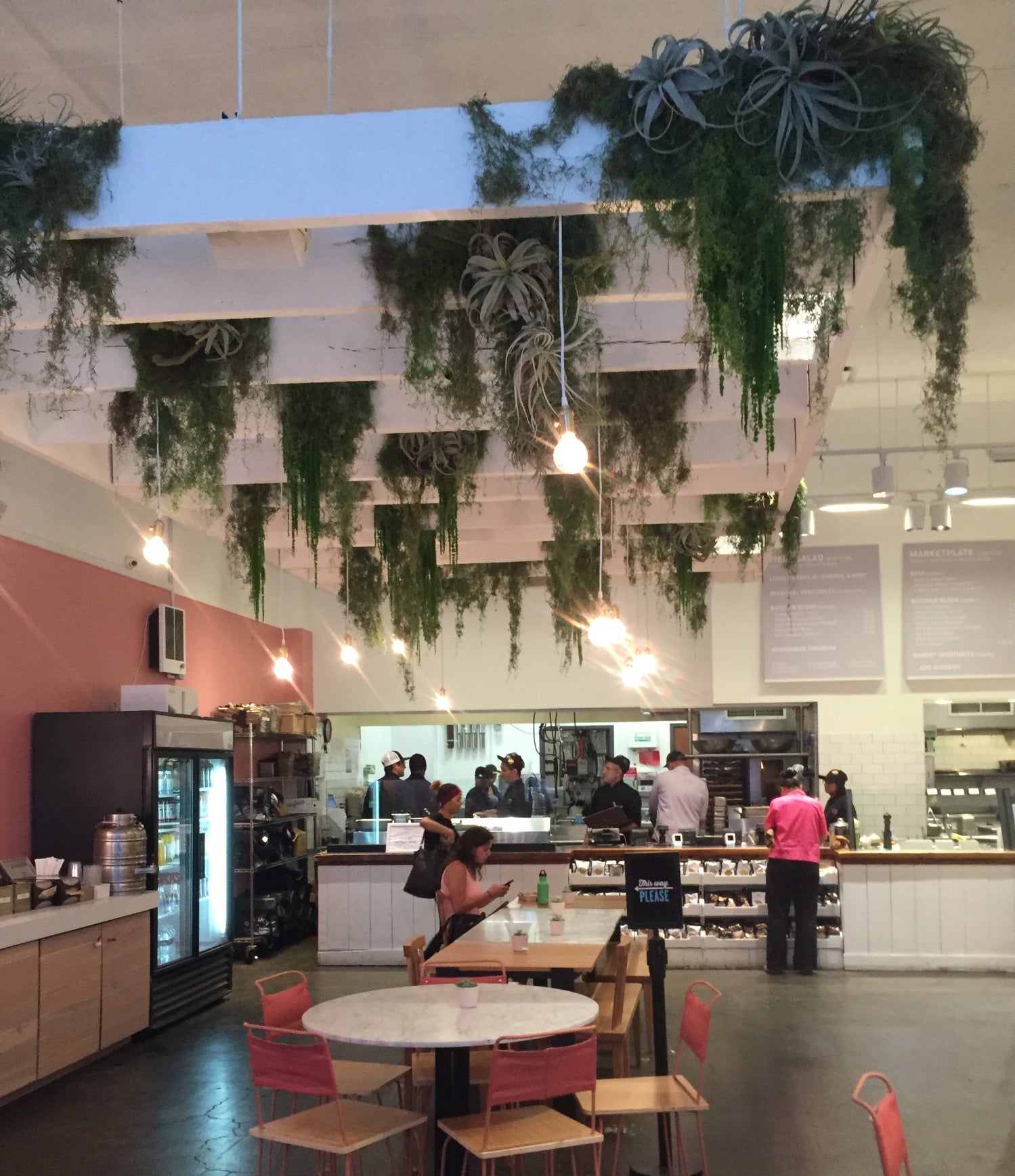 DigInn restaurant in NY plant installation by Sprout-home