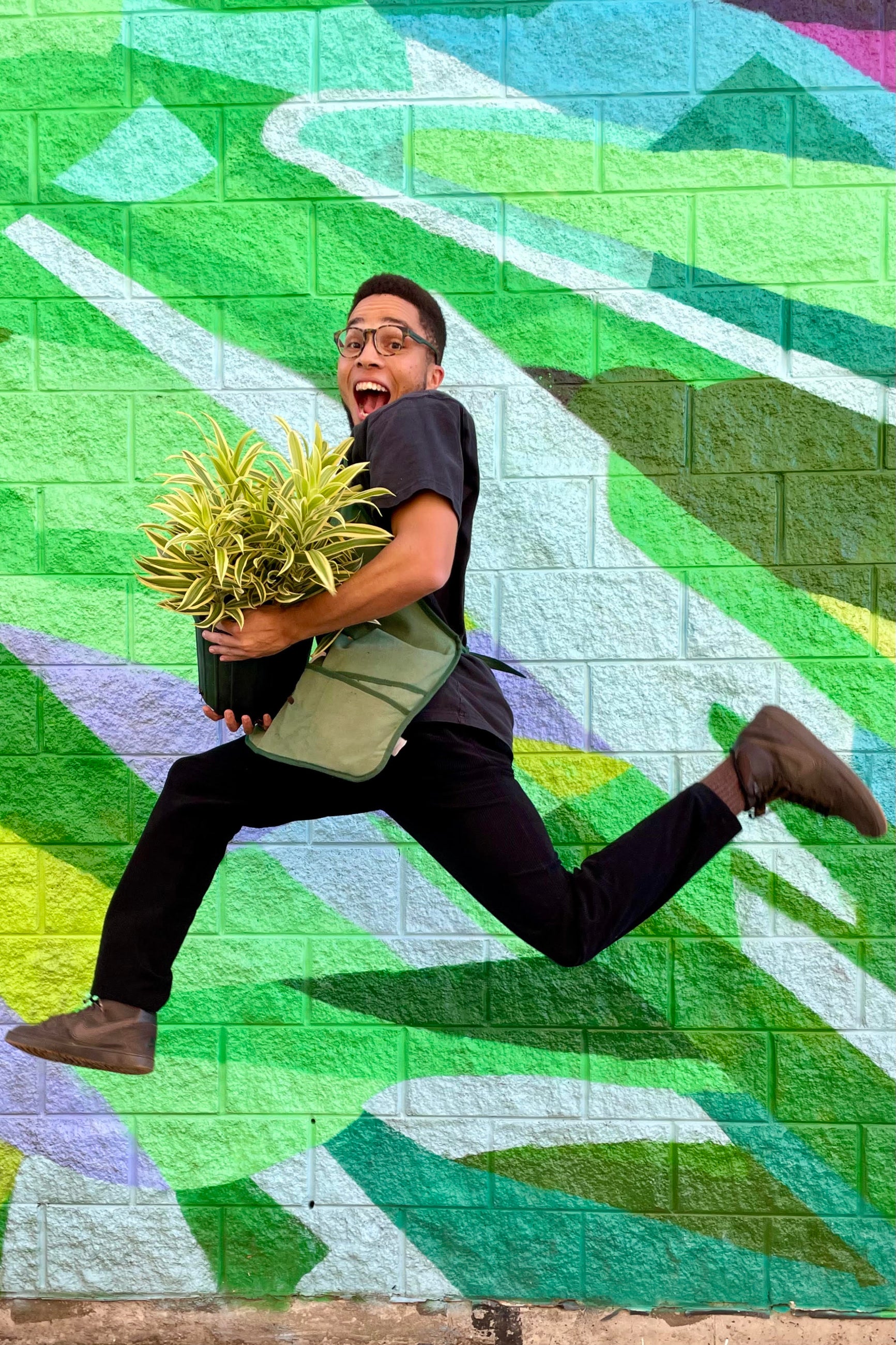 Photo jumping while holding a plant. The plant has green and yellow striped leaves and is in a black pot. The background is a colorful mural.