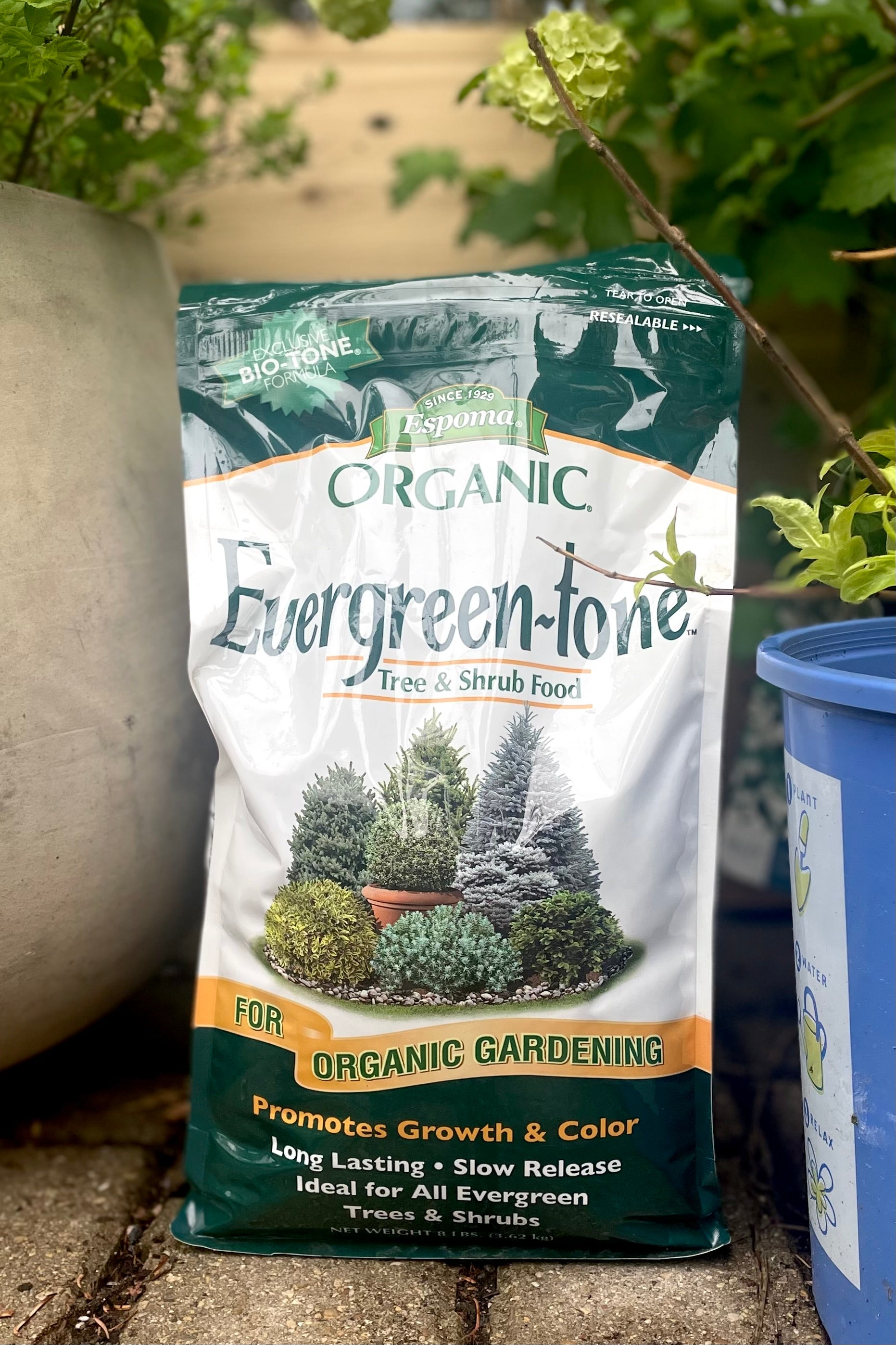 A full view of Espoma Evergreen-Tone 4lb surrounded by plants