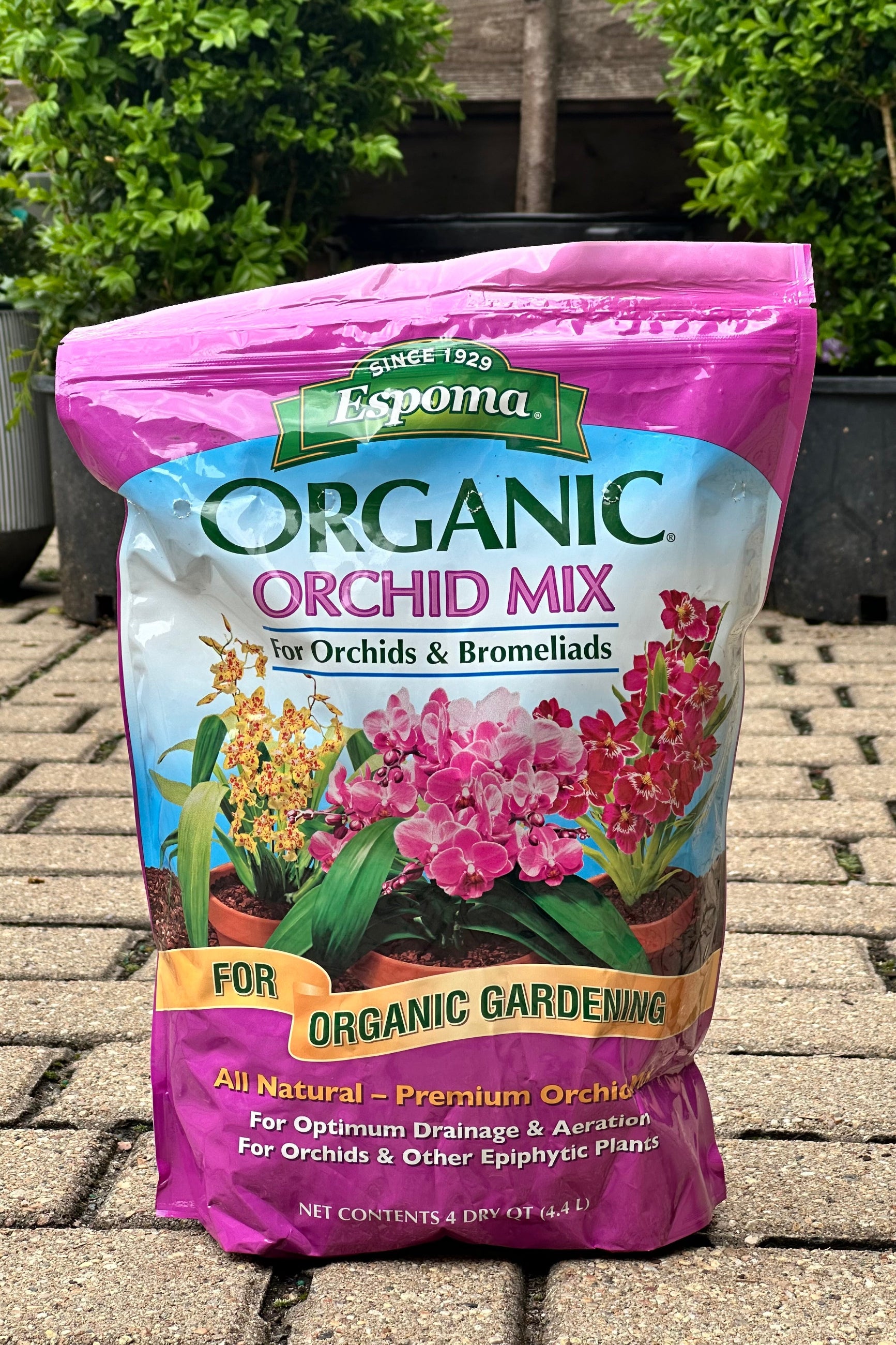 A bag of the Epsom Organic Orchid Mix bag at Sprout-home