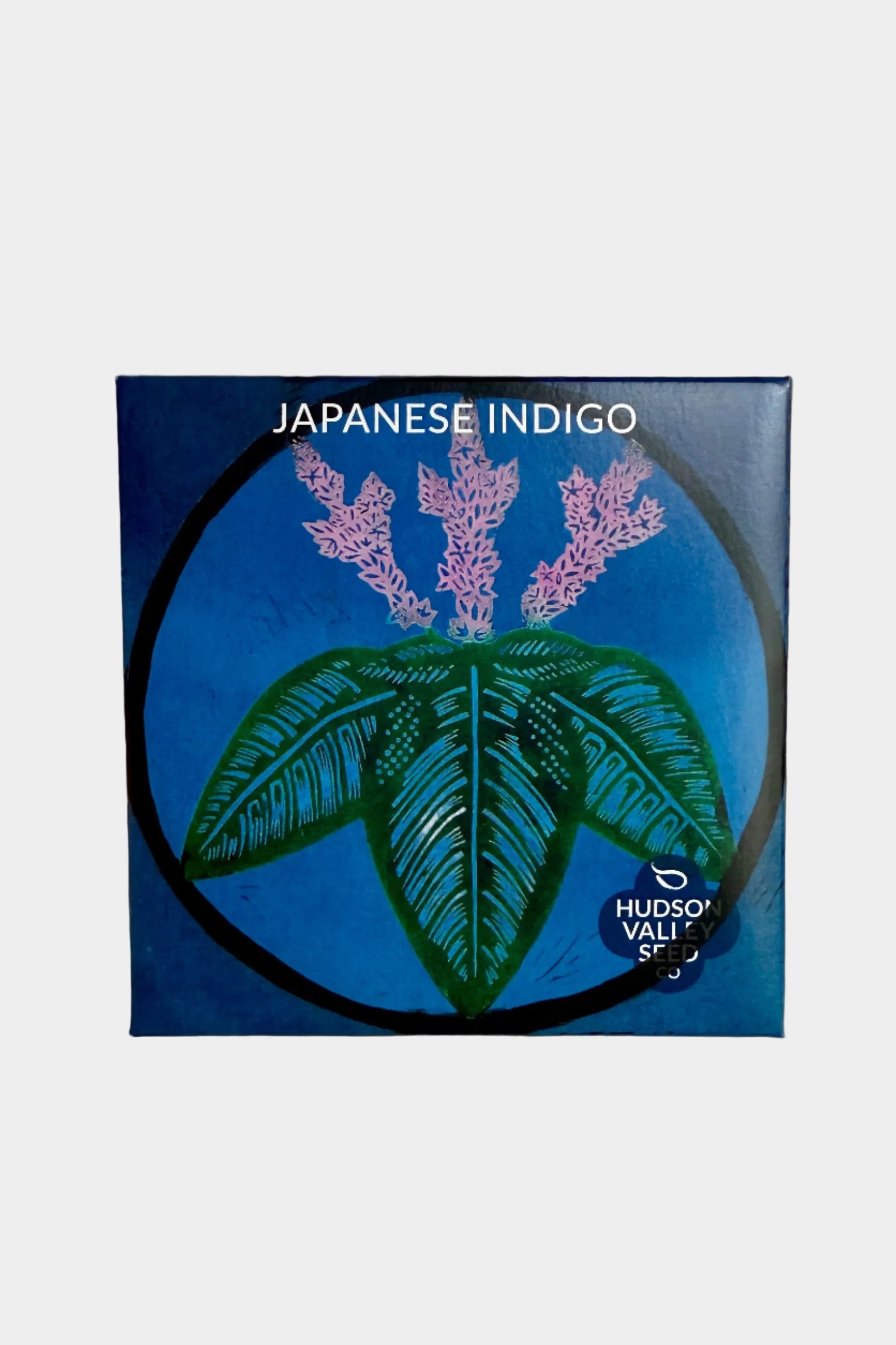 Japanese Indigo Art Pack Seeds ©Sprout Home
