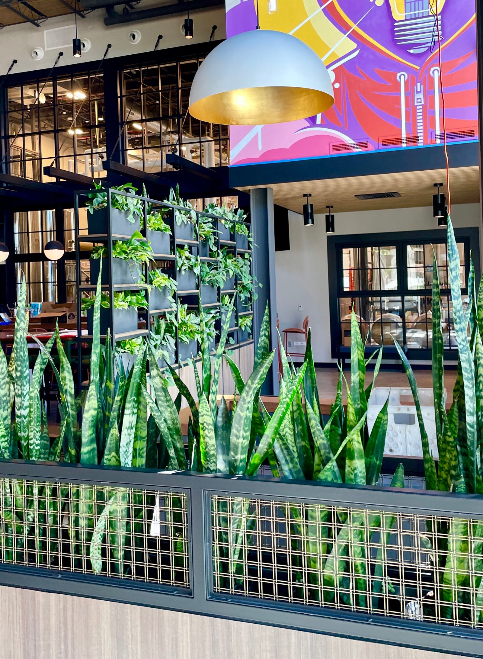 Interior of Homewood Brewery planted with a row of Sansevieria and a wall of trailing plants in the background by Sprout-home