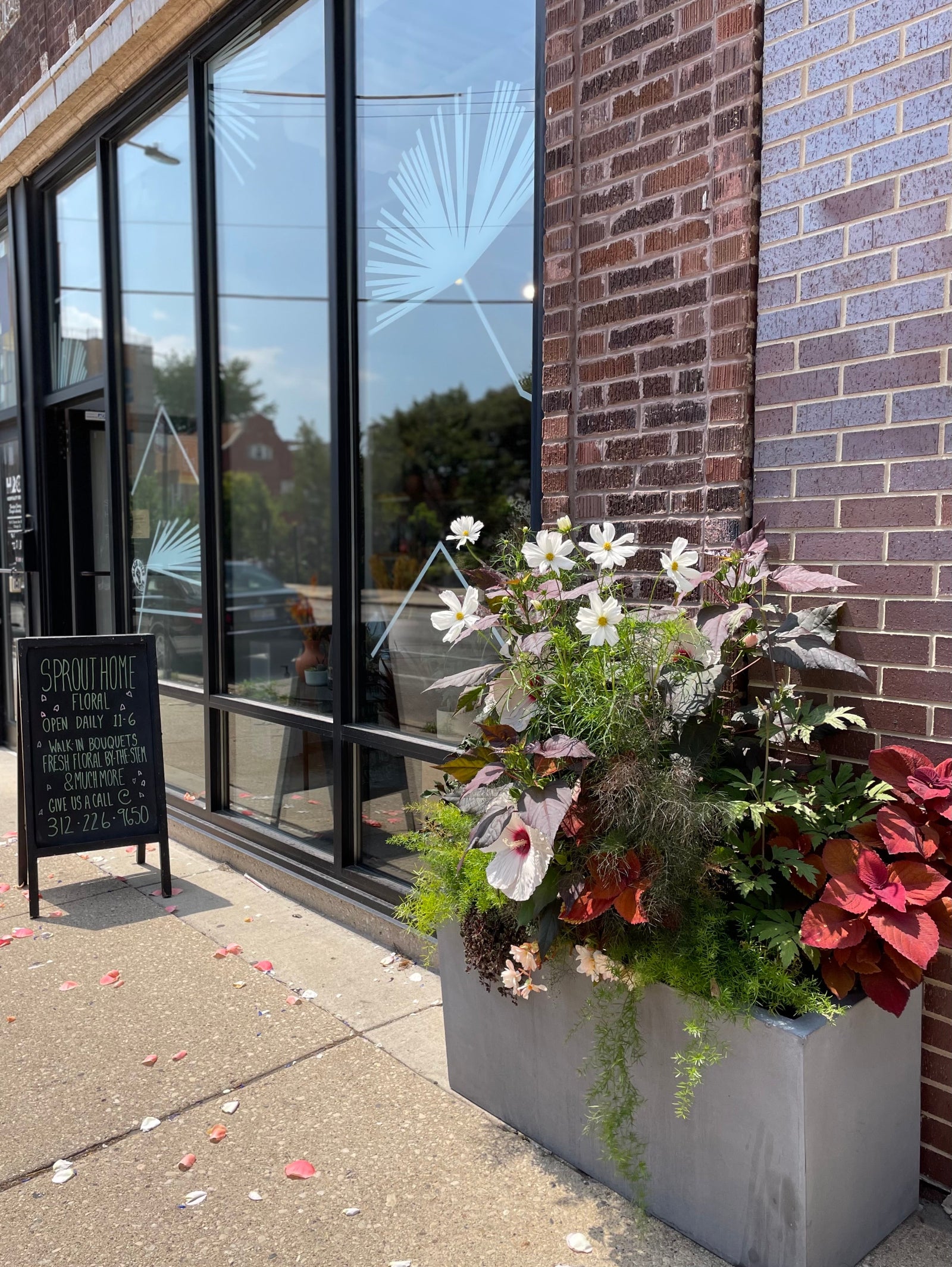 Annual planter in front of Sprout-home Floral store with cosmos and hibiscus