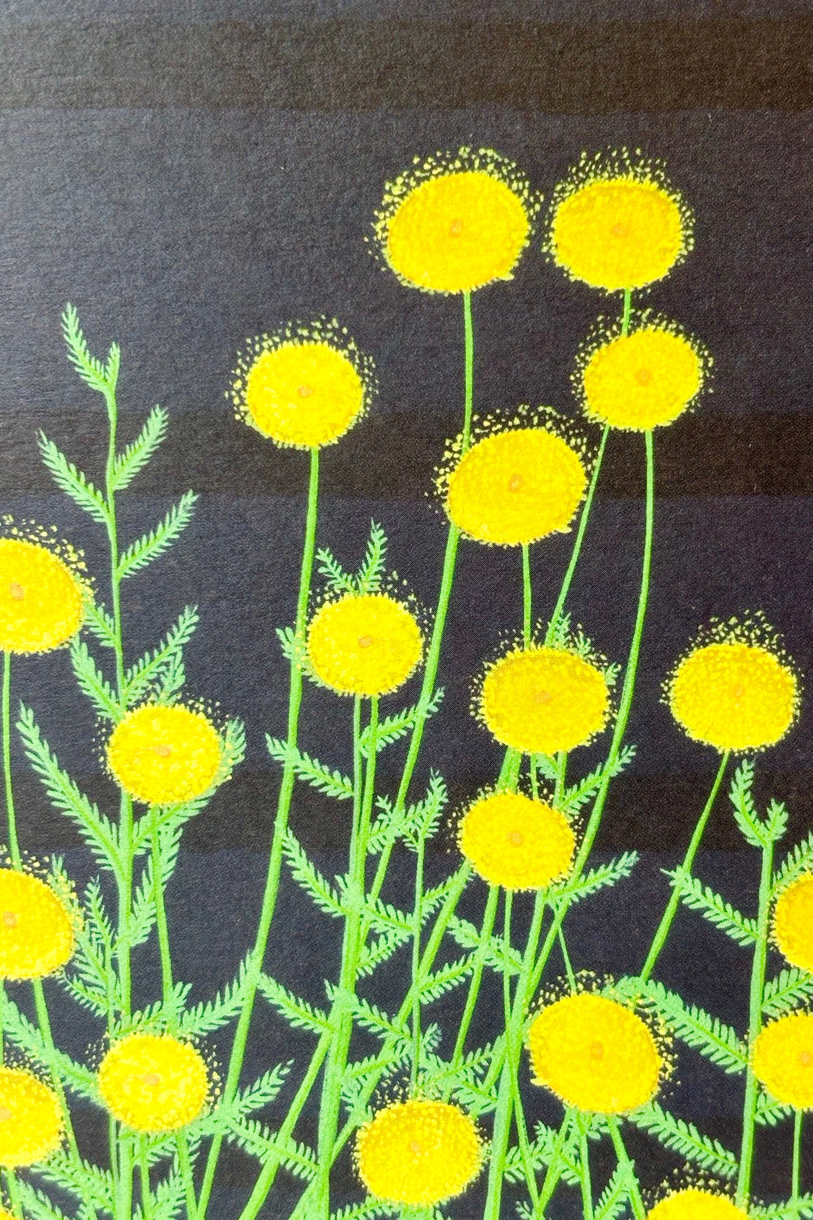 Close up of Dungeness card with yellow flowers on black background