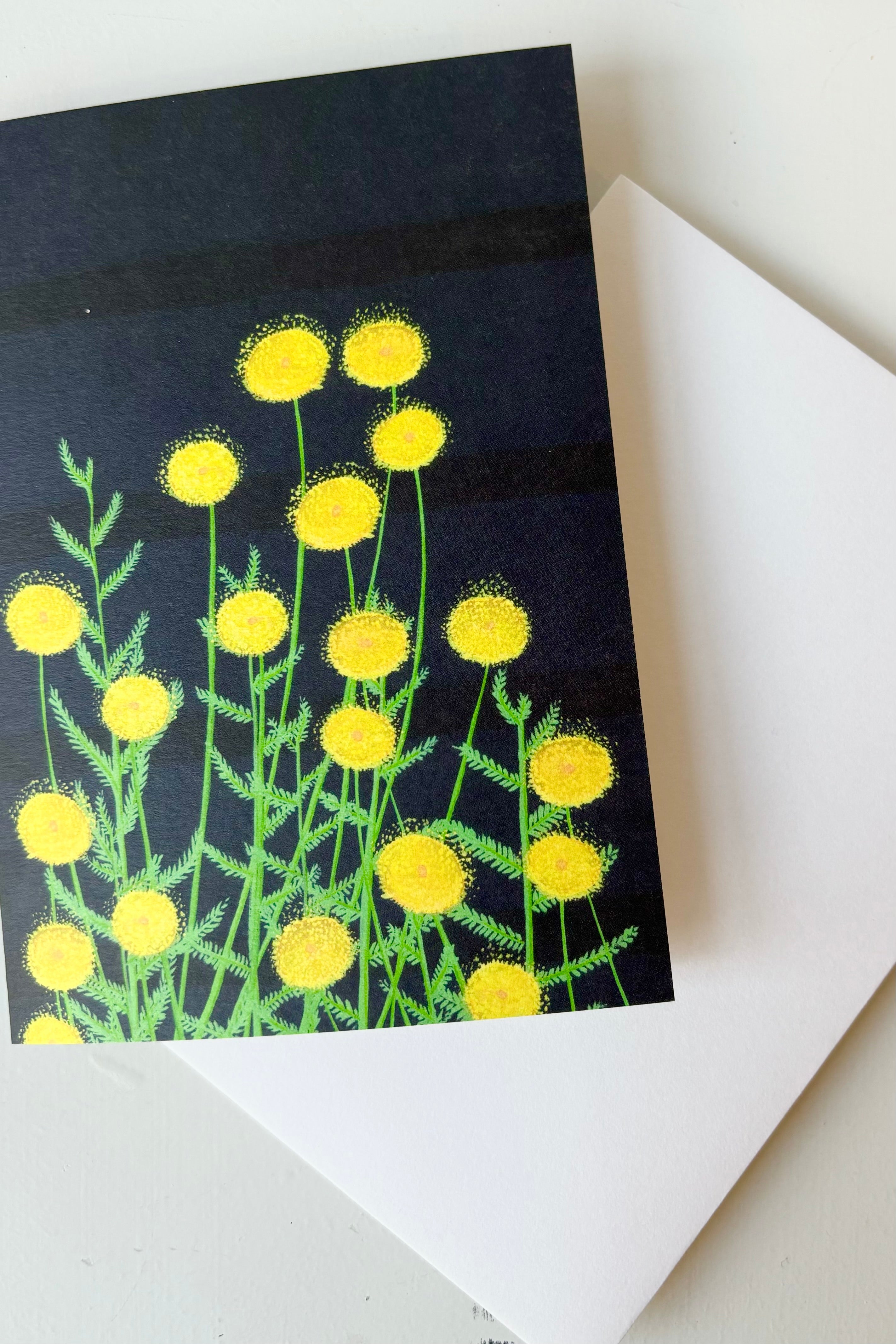 Dungeness card with envelope against white background