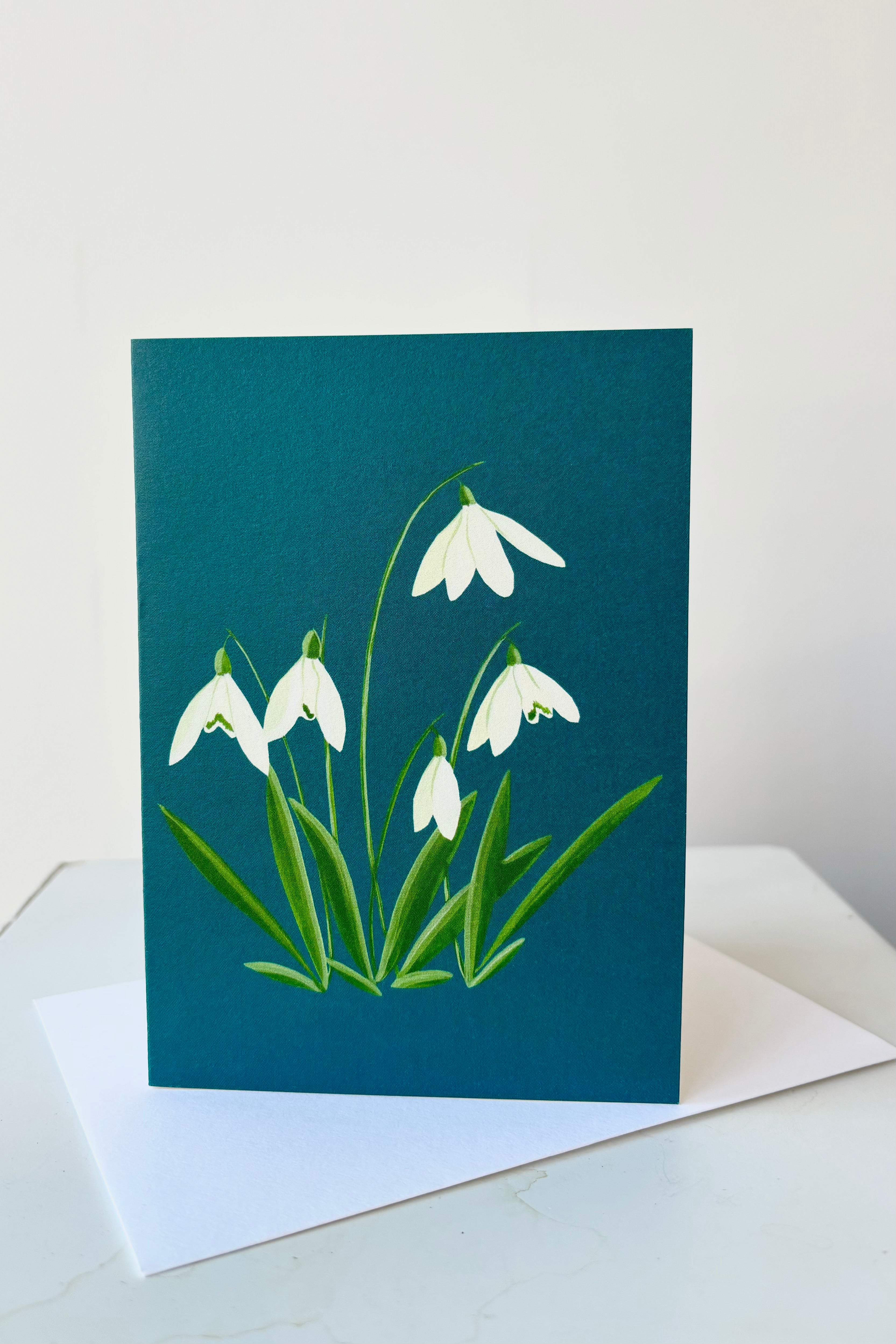 Blank greeting card with image of snowdrops on a teal blue background with white envelope against white wall. 