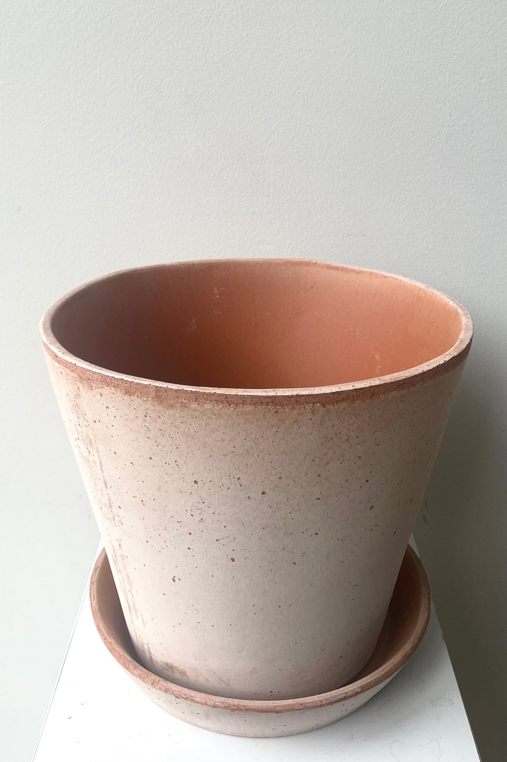 A slightly overhead view of Julie Pot & Saucer rosa 9.8" against white backdrop