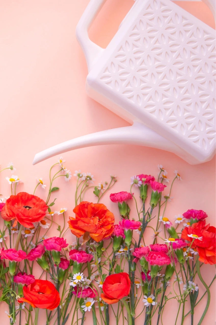 The Breeze Block watering can in Ivory above orange and pink flowers by Jungle Club
