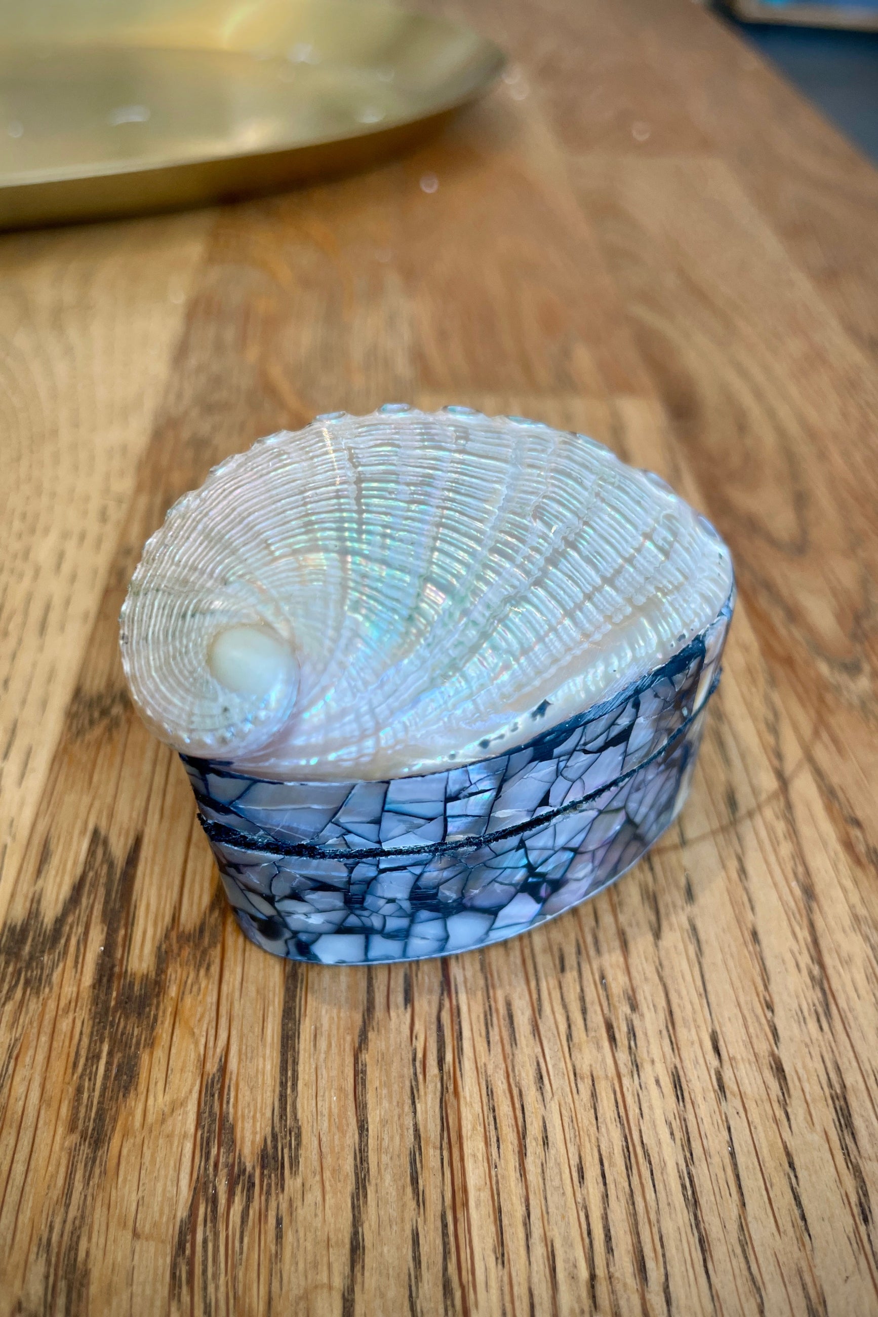 Small shell trinket box sitting on a wood table closed at Sprout-home. 