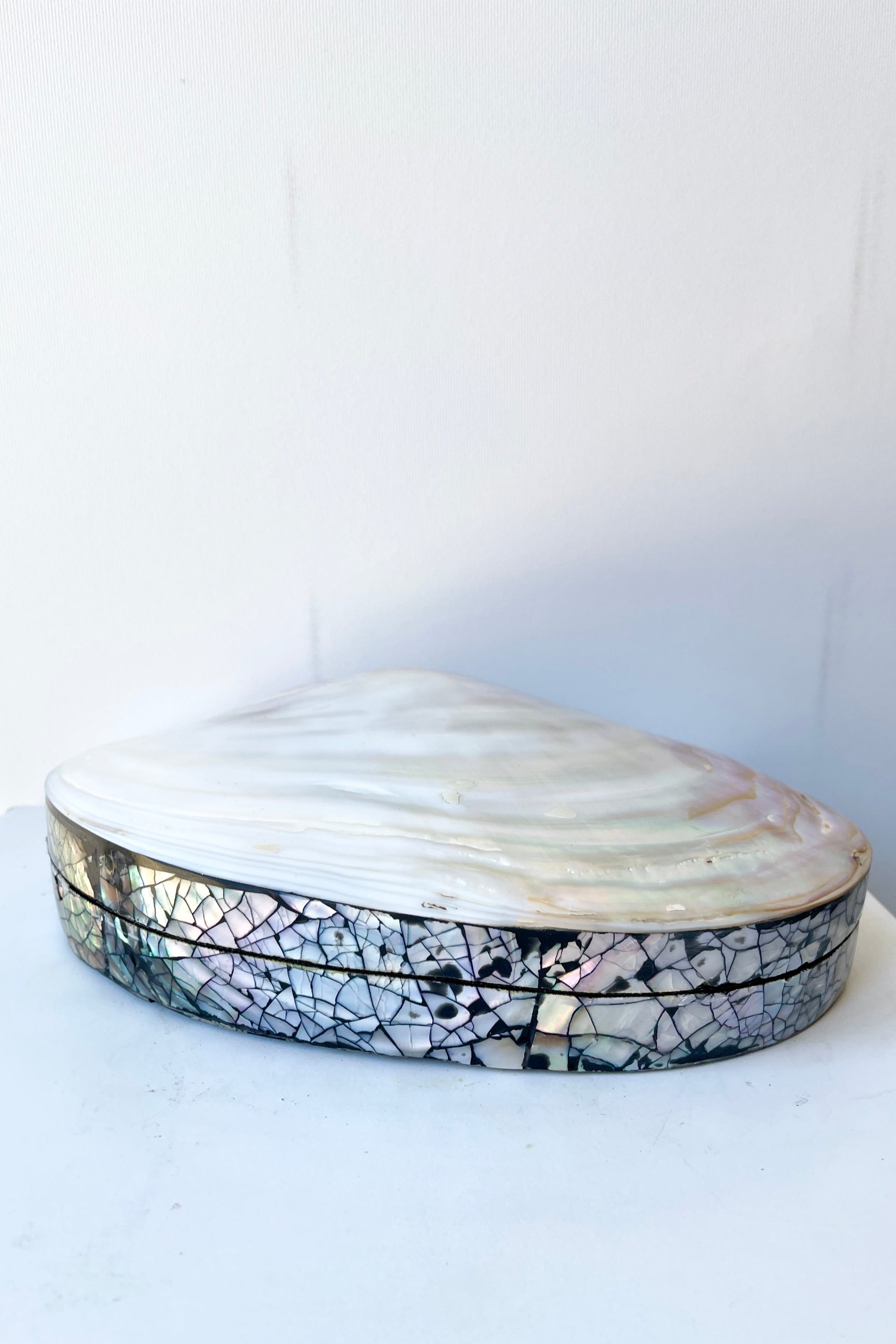 The Large Shell trinket box at Sprout-home bing shown from the top and side against white.