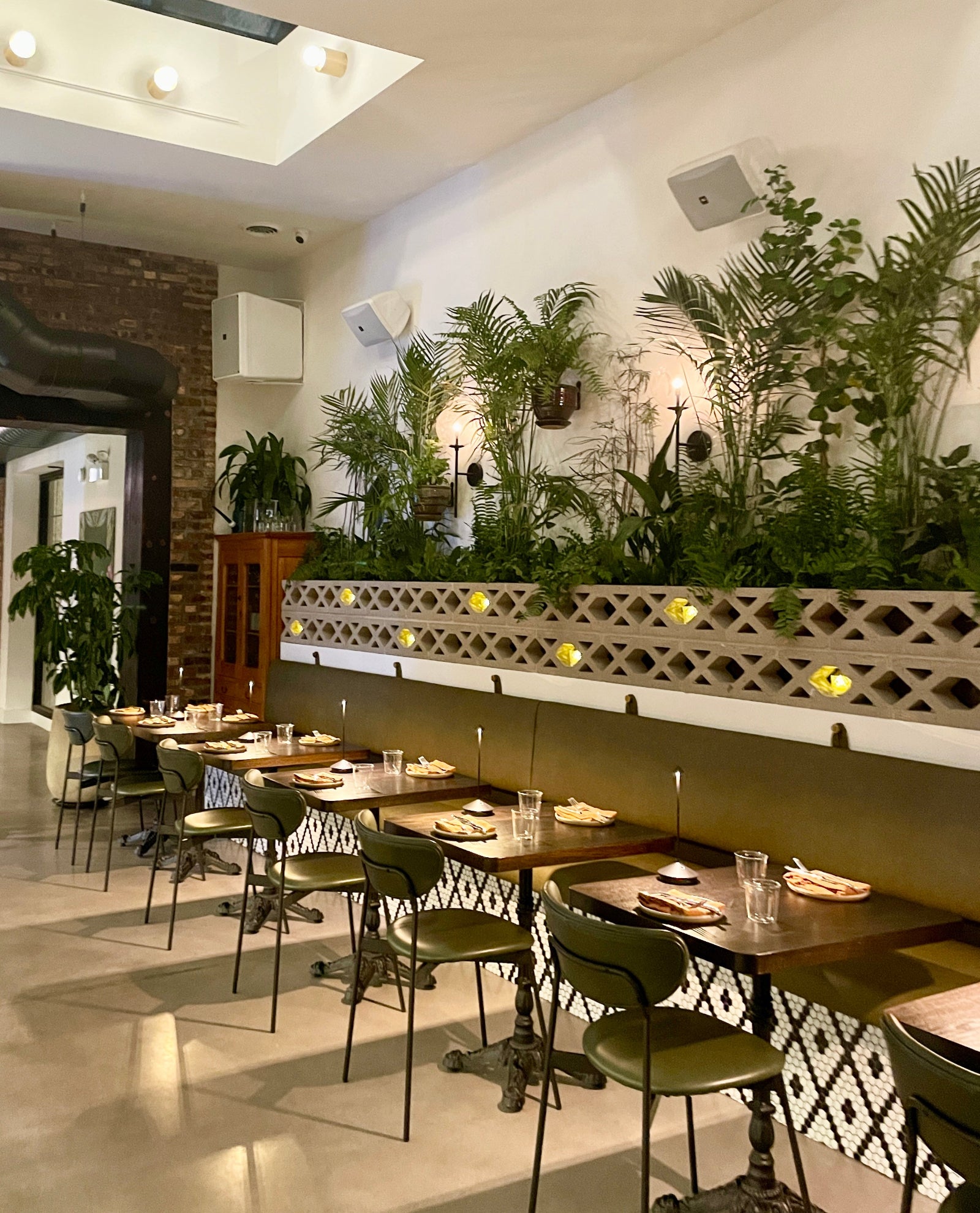 Nettare restaurant interior plants created and installed by Sprout Hoe.