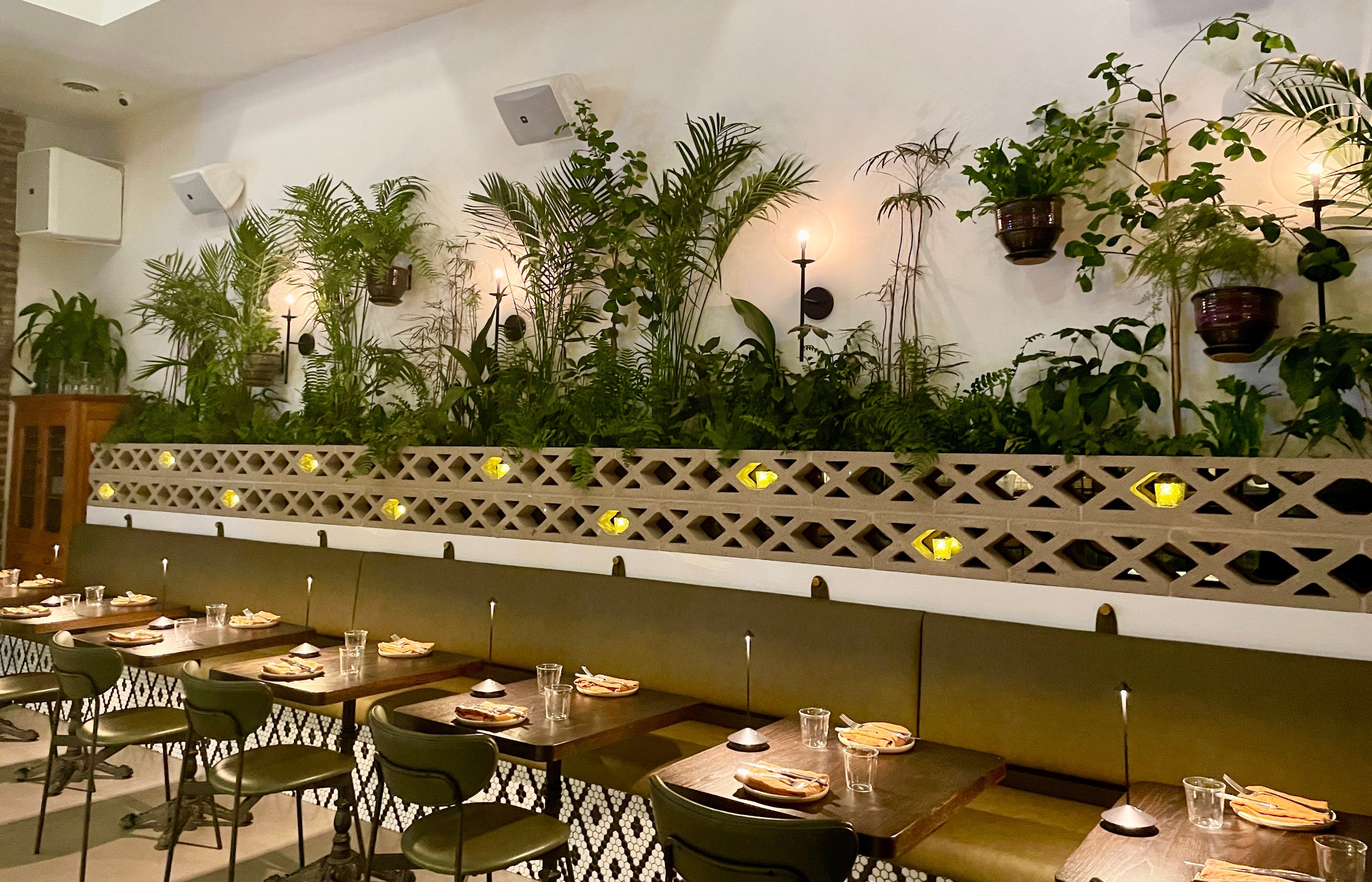 Nettare restaurant interior planting by Sprout-home