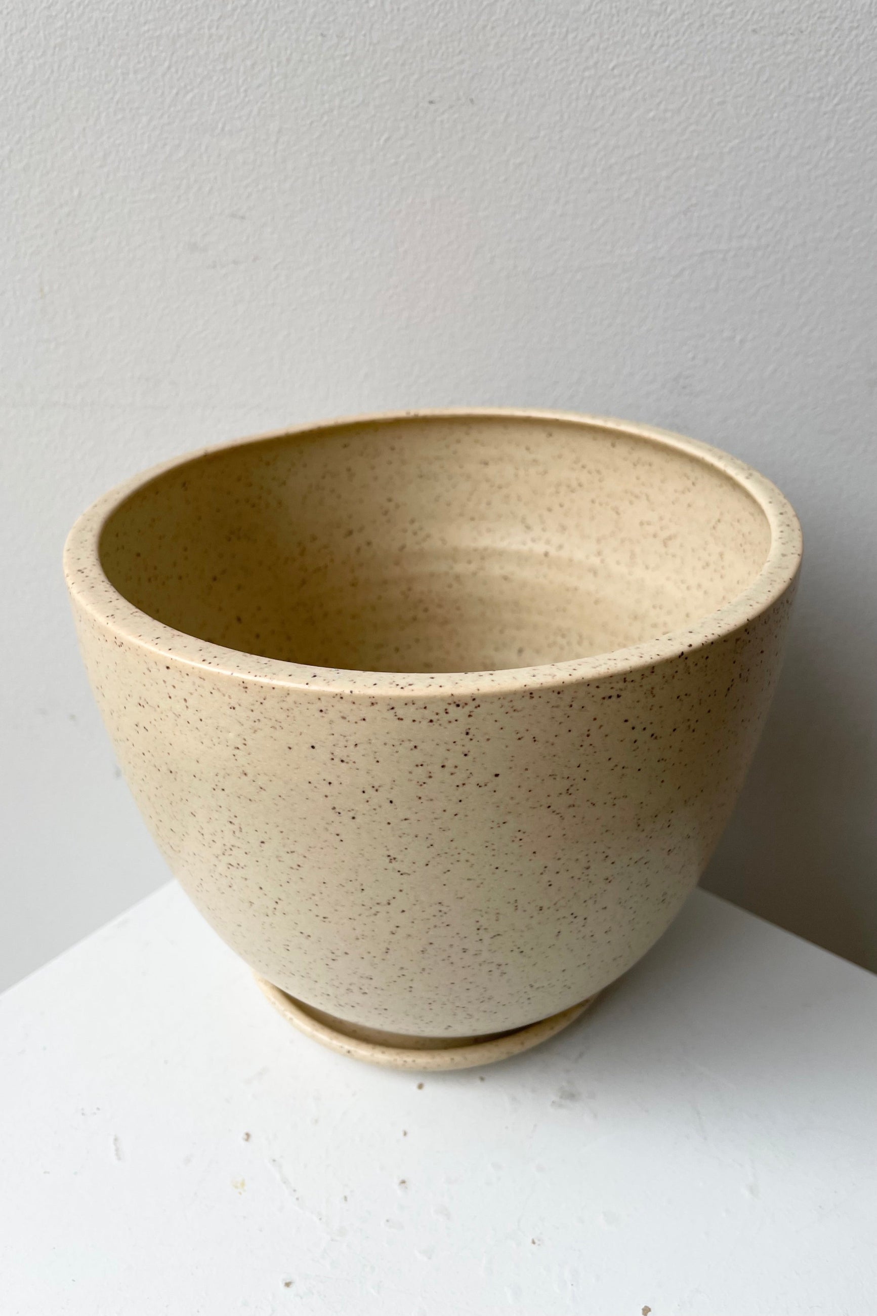 Speckle Butter large tabletop planter and saucer at Sprout-home seen from the top side looking in. 
