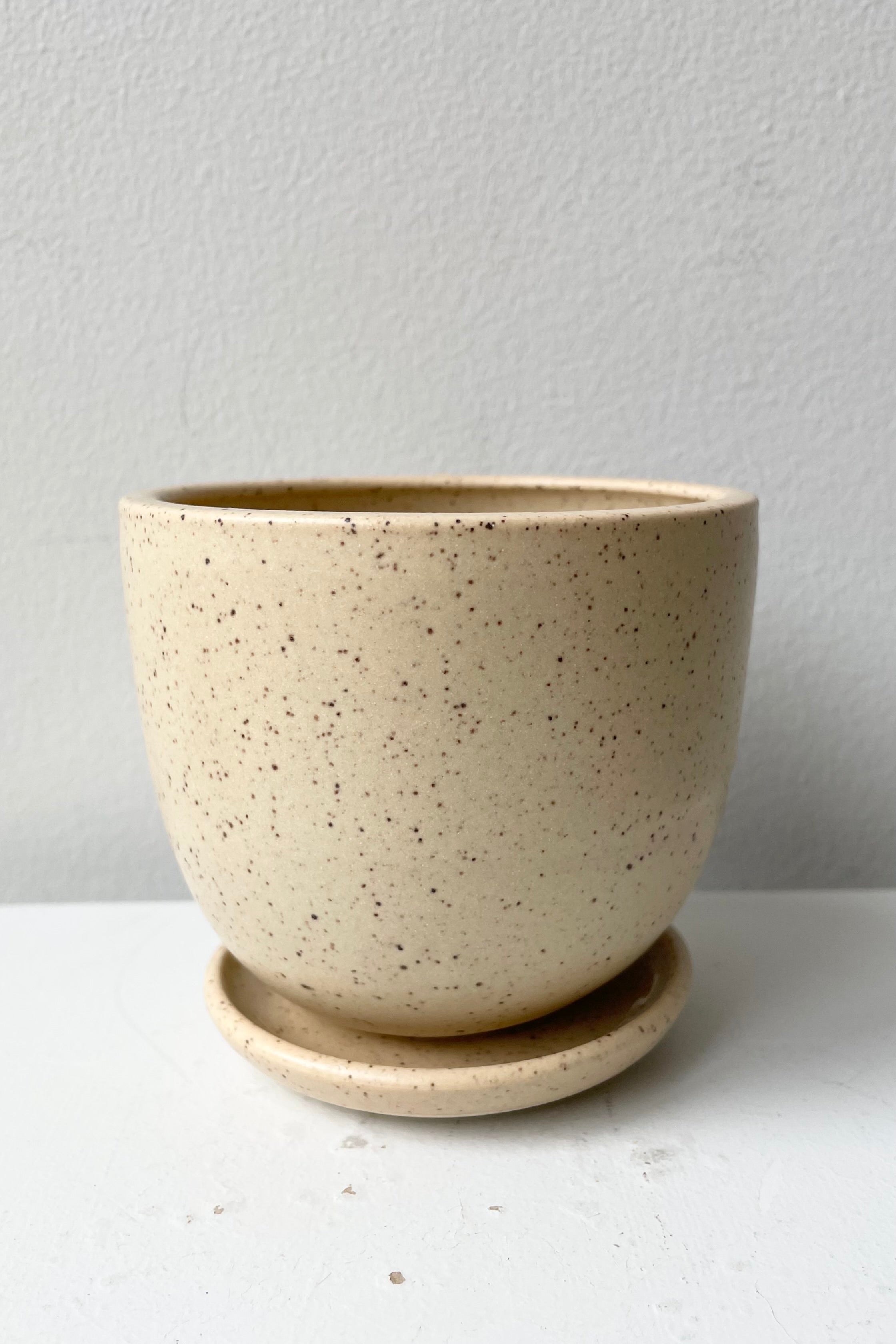 Small butter speckle tabletop planter and saucer against a white wall viewed from the side. 