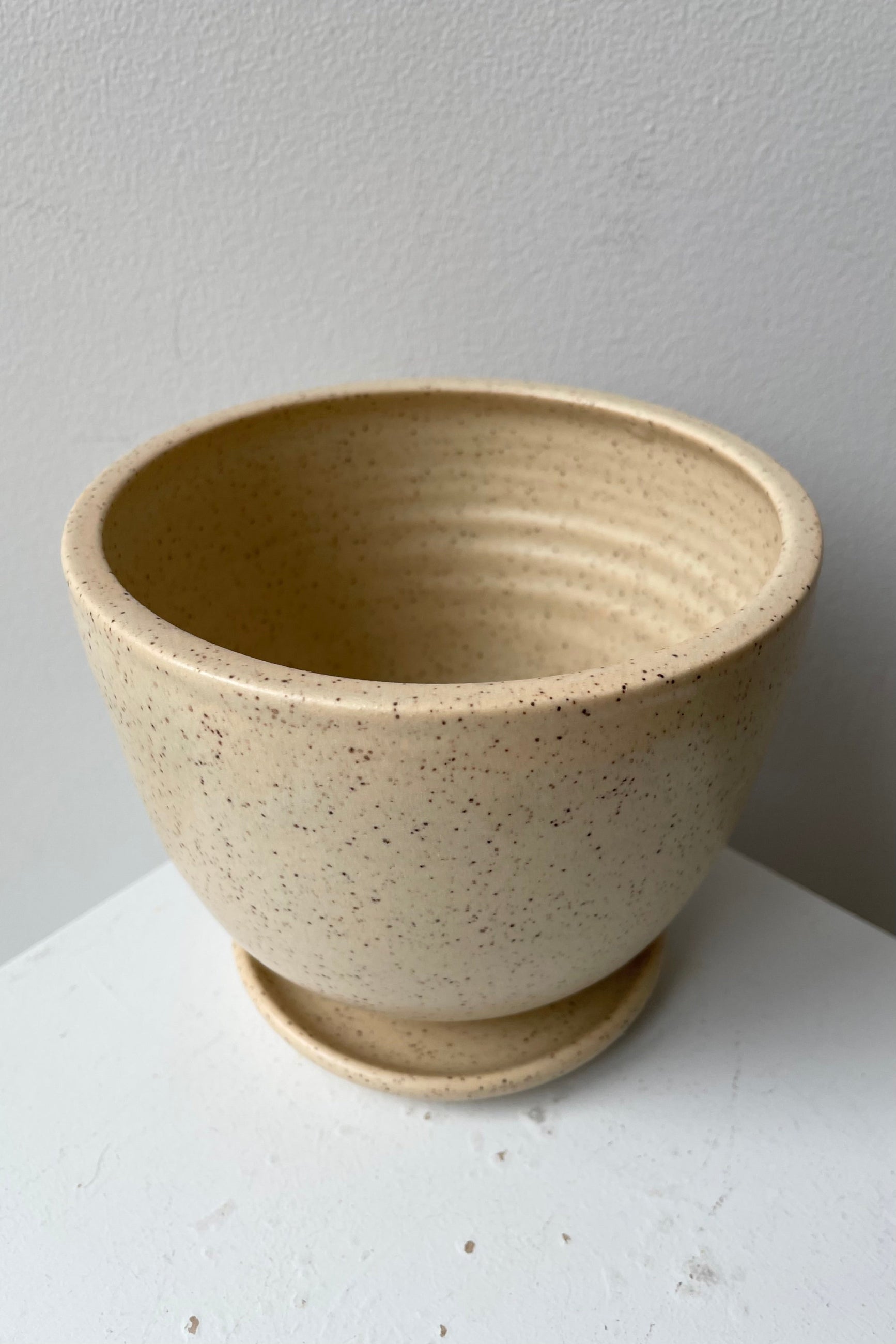 Medium size butter speckle tabletop planter and saucer shown from the side top. 