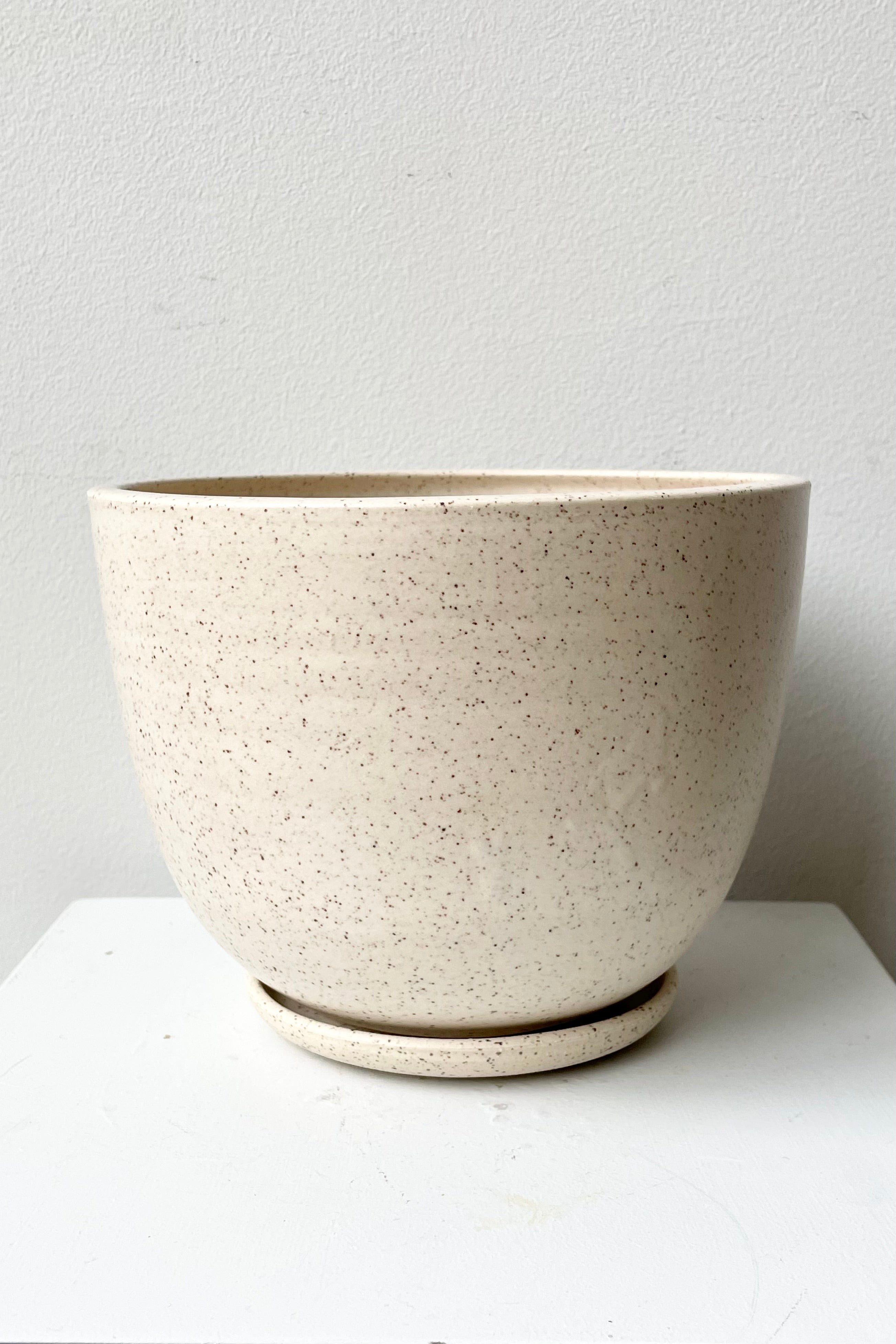 The Large Cream Speckle tabletop planter and saucer against a white wall. 